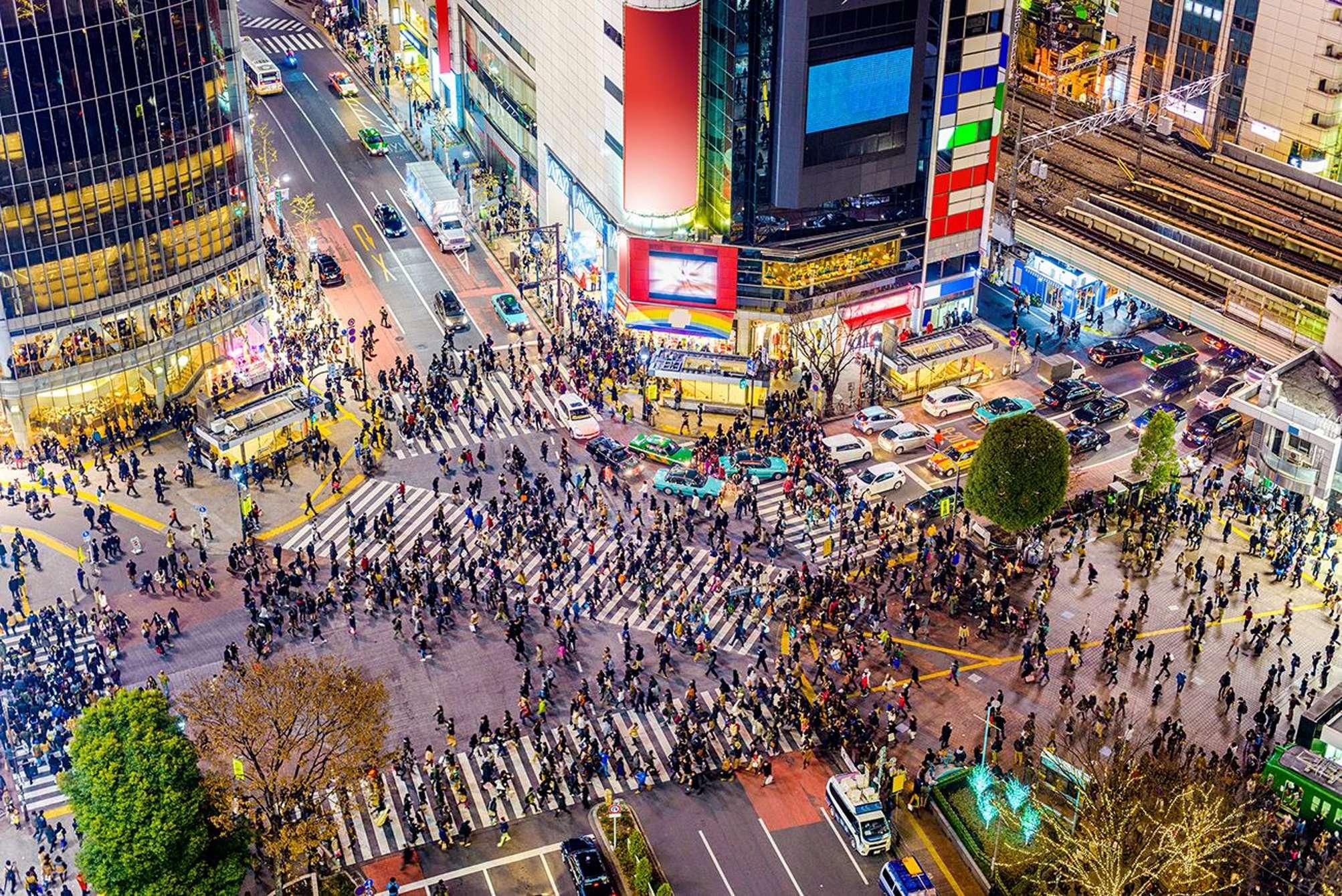 Tokyo Private Night Sightseeing Tour with Hotel Pickup