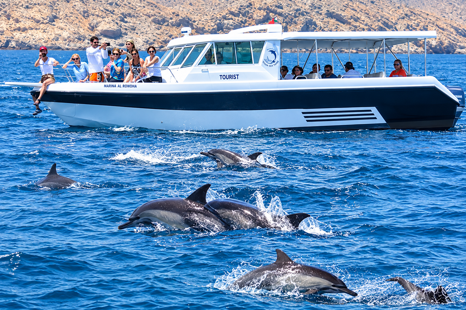 Muscat Dolphin Watching & Coastal Cruise