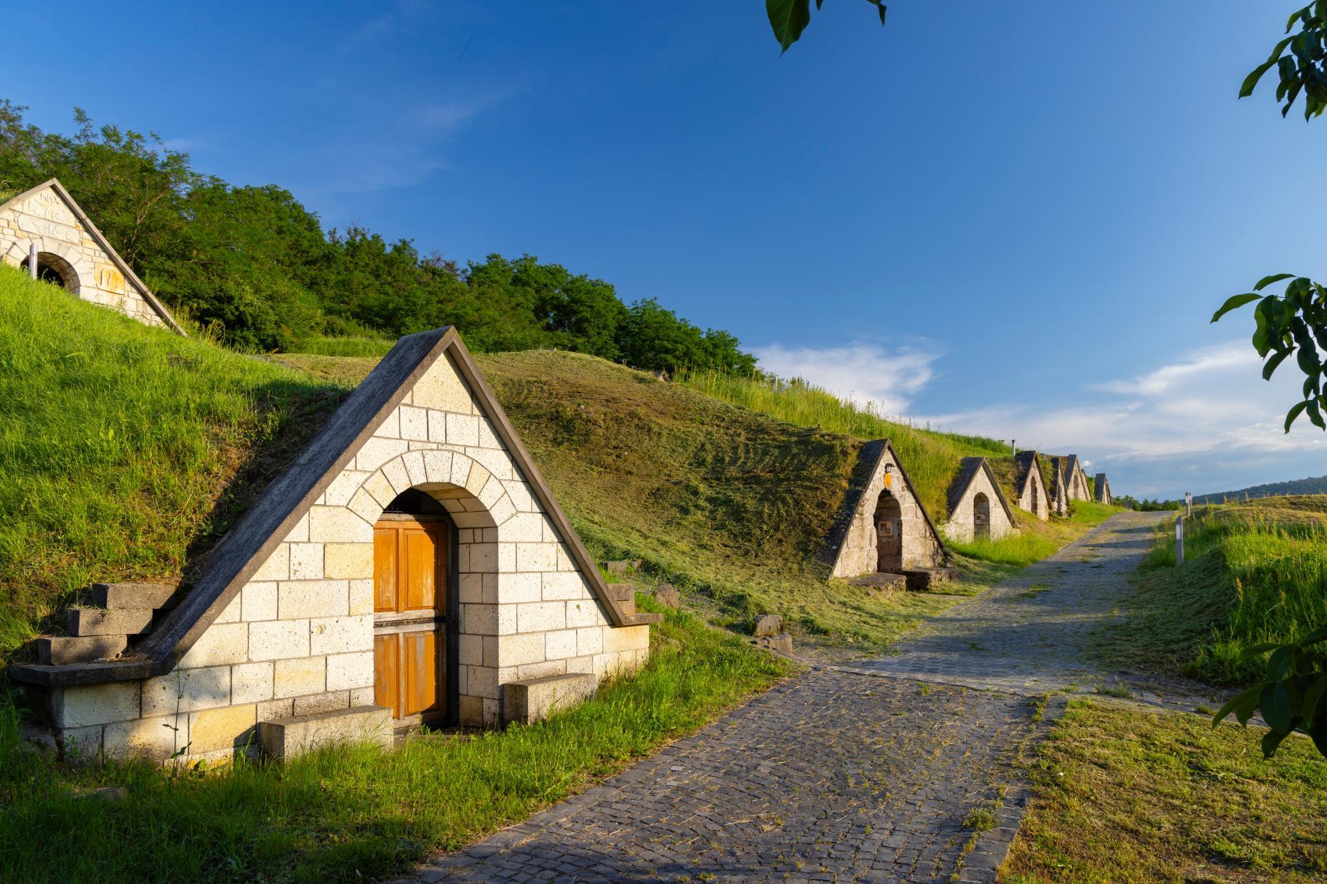 Tokaj Wine Cellar Tasting with Aszú