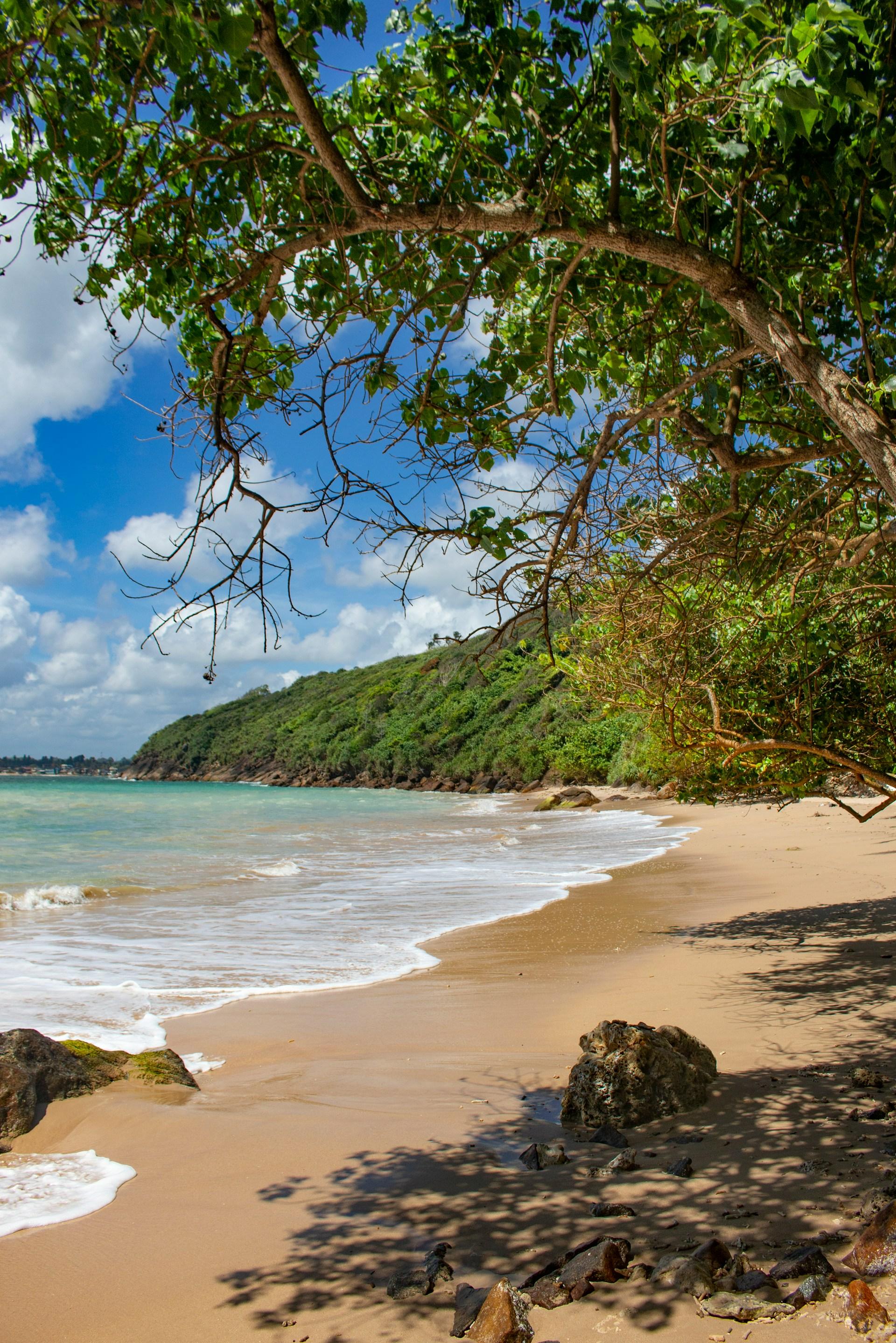 Colombo to Galle & Jungle Beach Private Day Trip