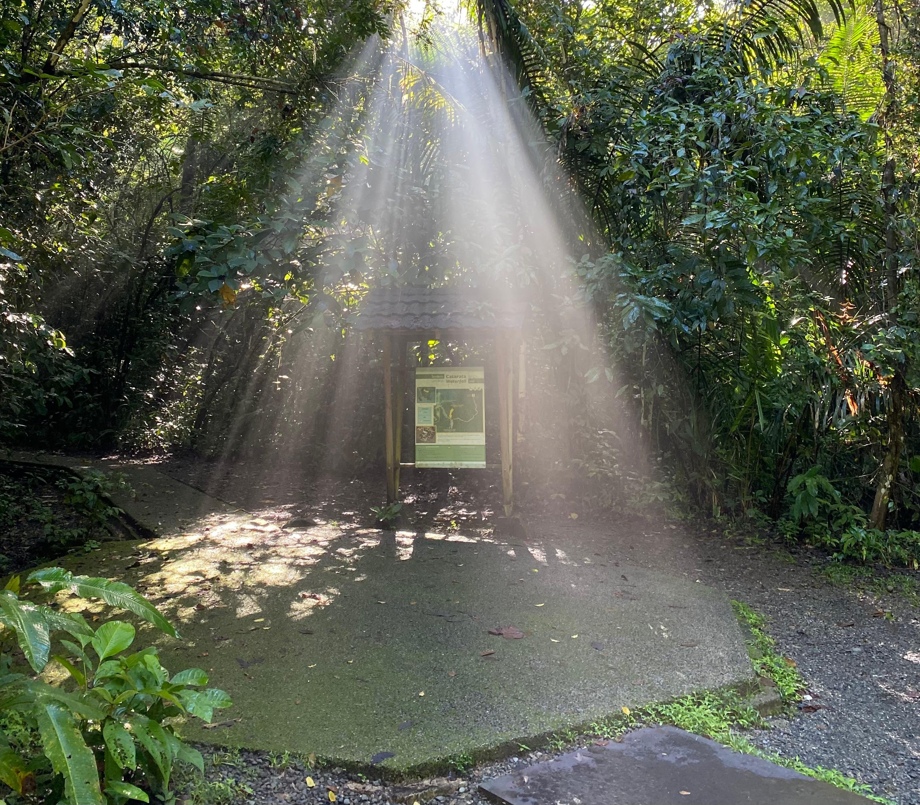 Manuel Antonio National Park: Naturalist-Led Wildlife Walking Tour
