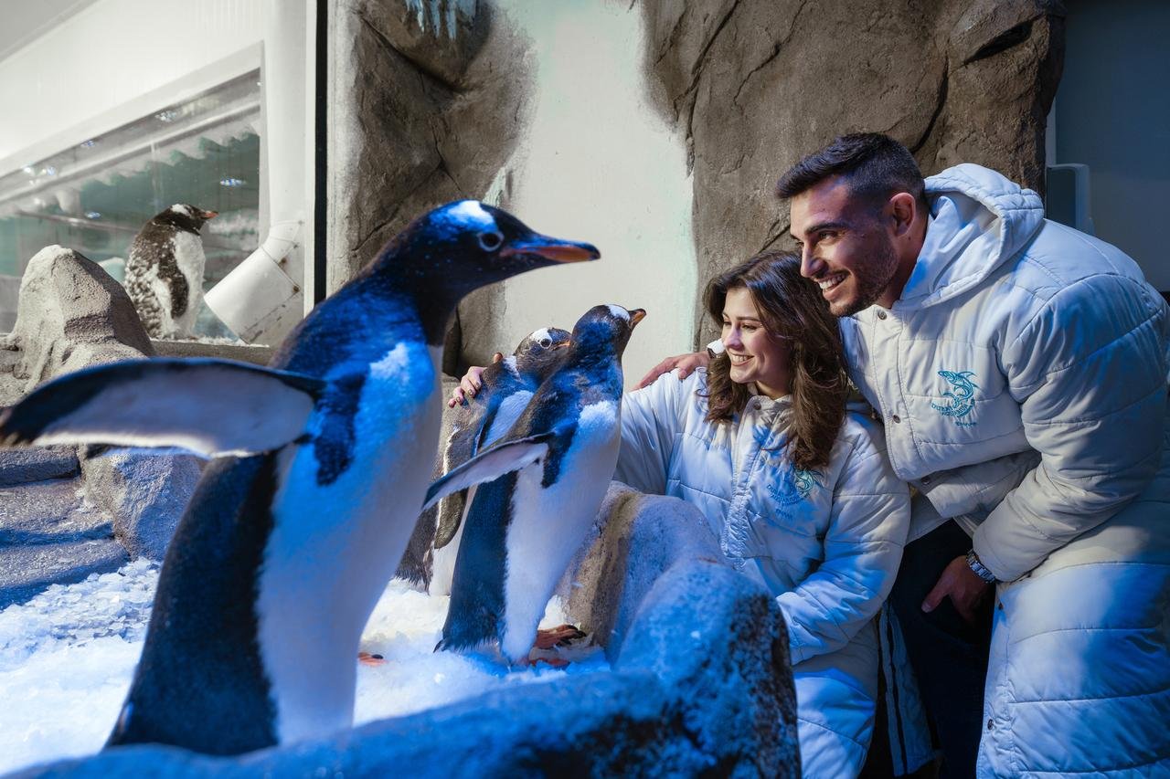 Dubai Aquarium & Underwater Zoo Exploration