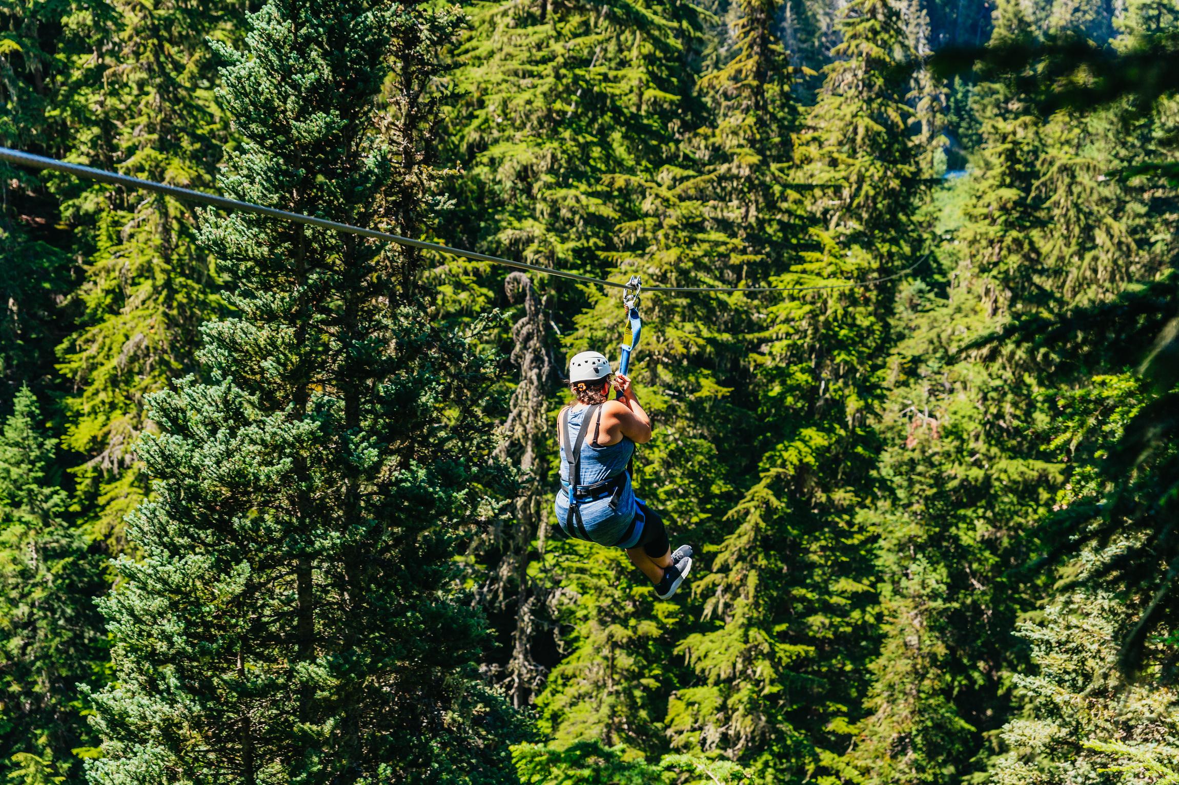 Whistler: Ziplining Experience - 2026 (Verified Reviews)