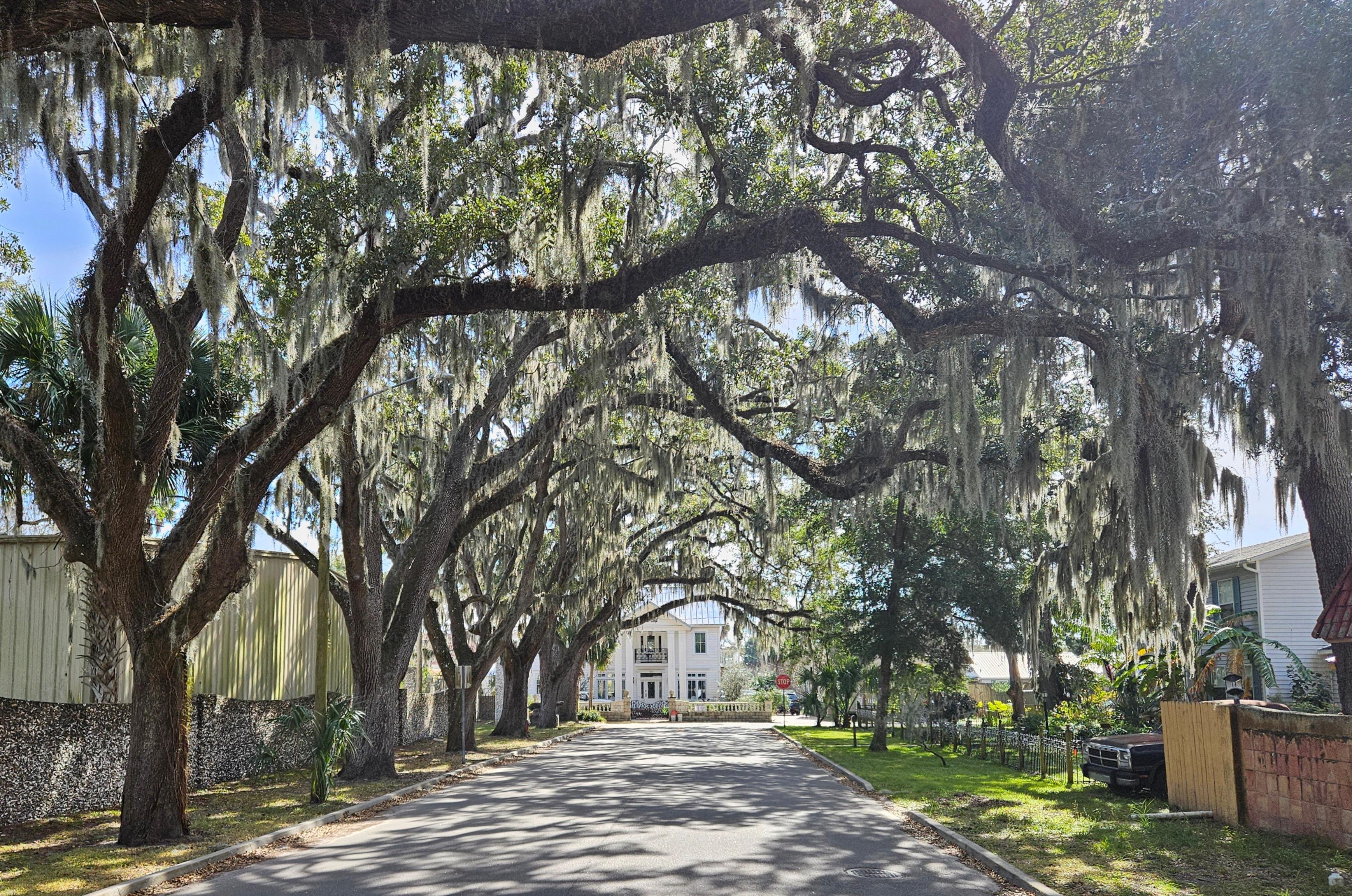 St Augustine trolley at a historic stop — hop-on hop-off sightseeing tour boarding point in Florida's oldest city