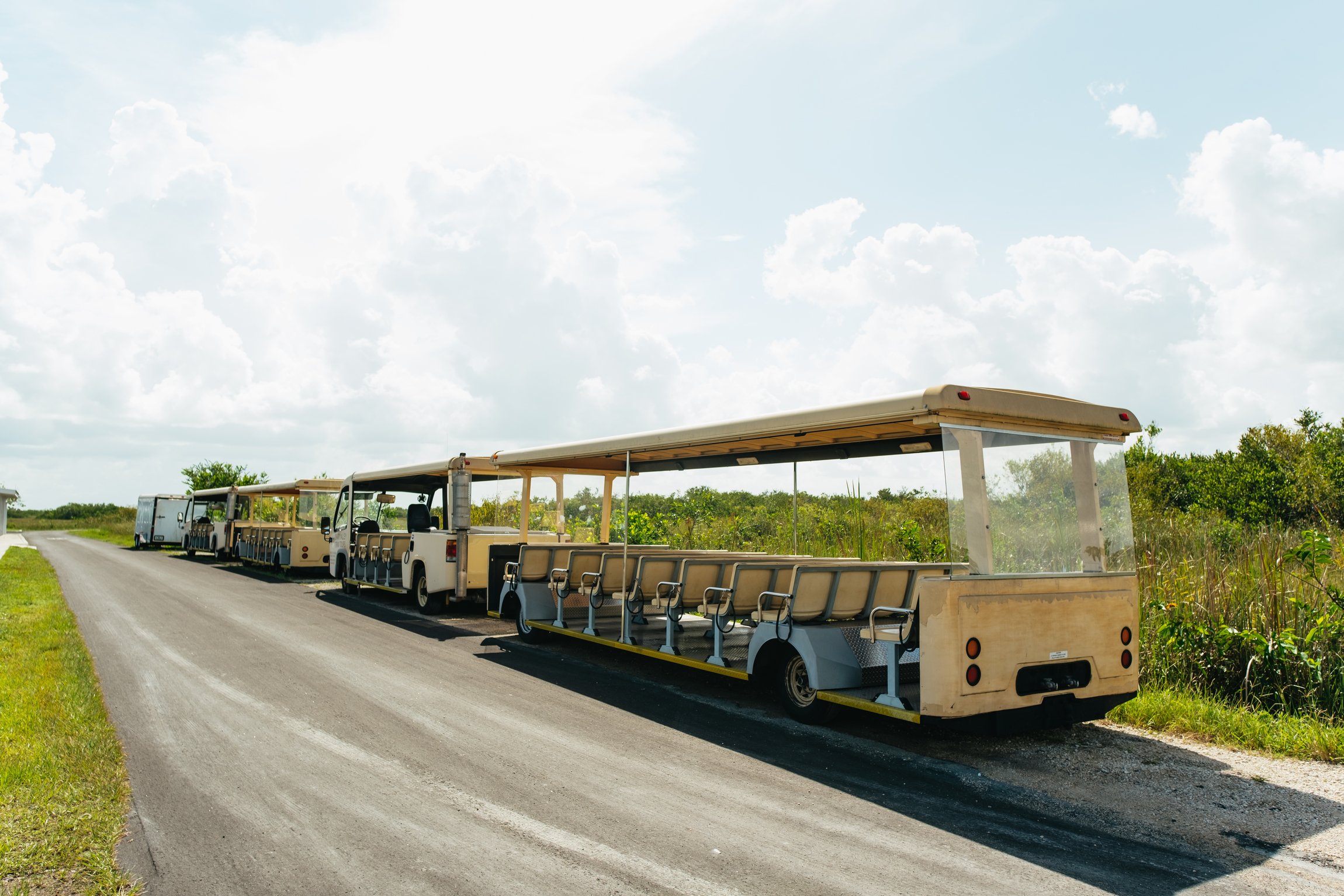 Everglades airboat tour sawgrass marsh alligator wildlife near Miami Florida — image 5
