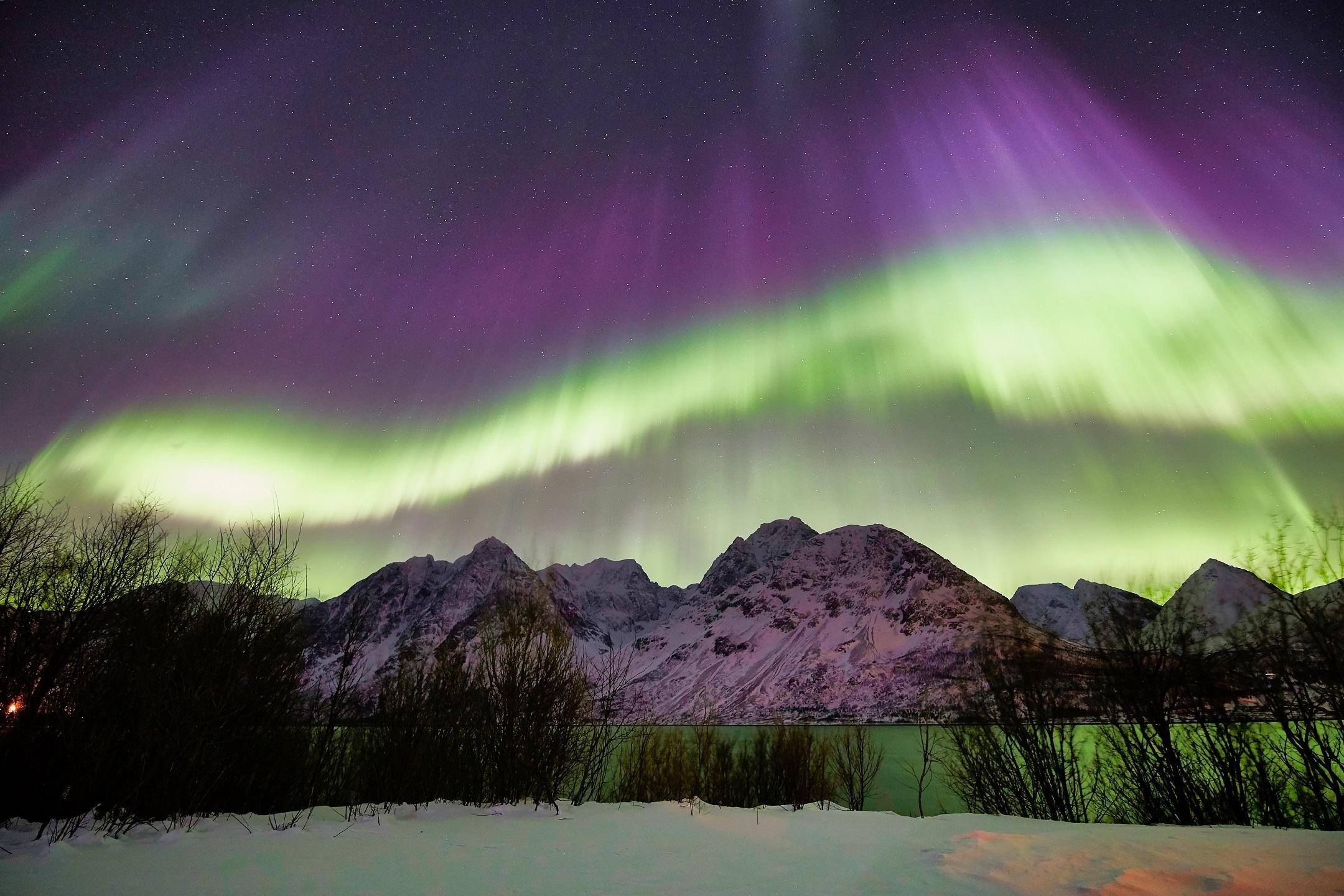 Tromsø: Private 6-Hour Aurora Chase by Minivan