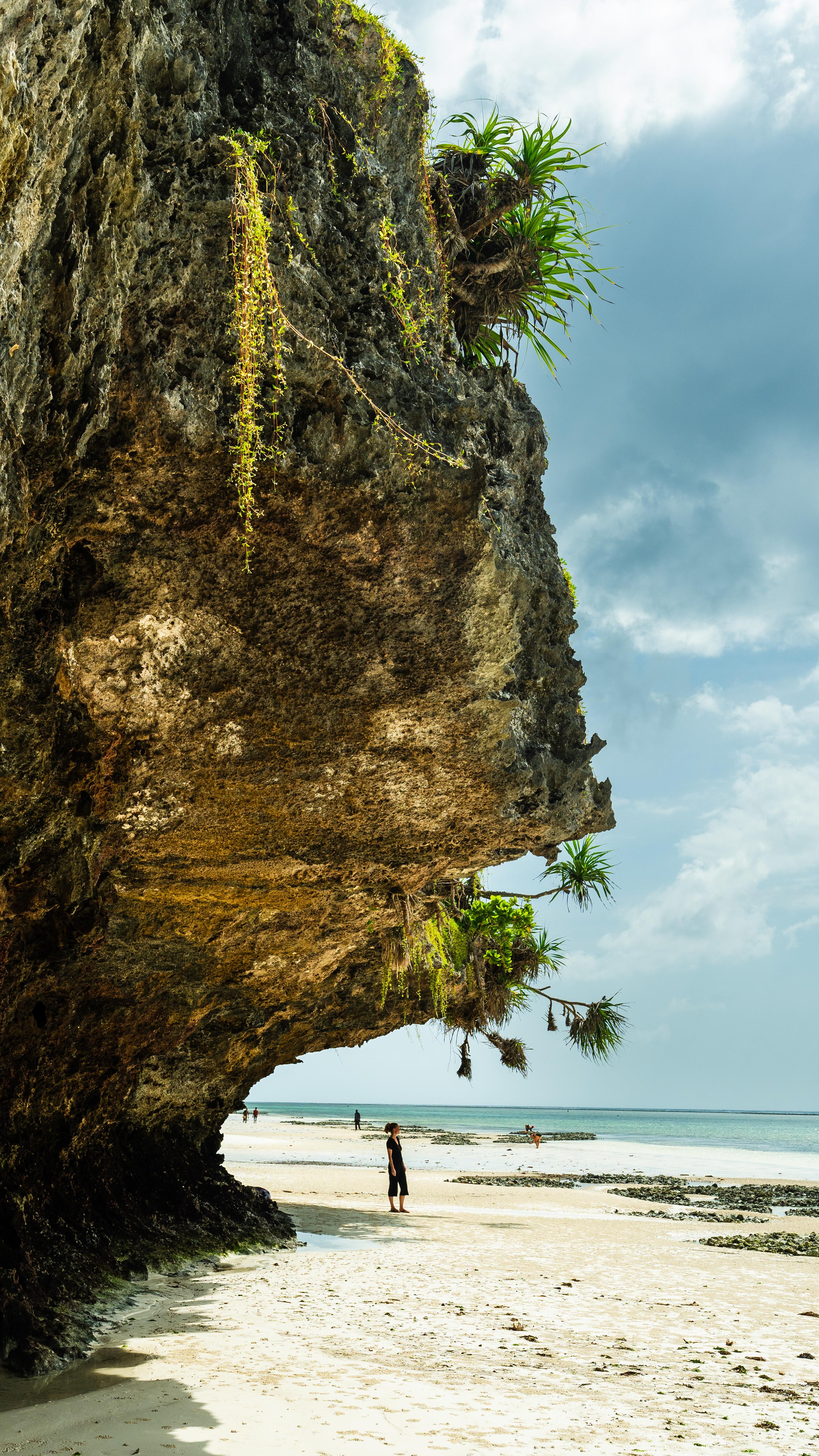 Zanzibar Hidden Gems: Secret Beach, Kuza Cave & Jozani Forest