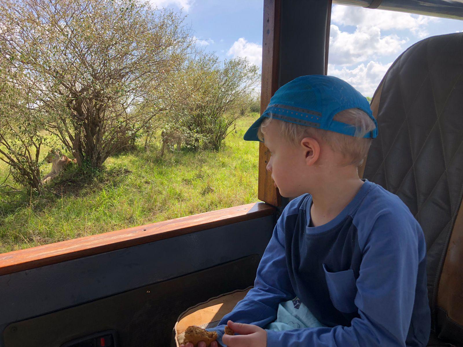 3-Day Masai Mara Safari Adventure from Nairobi