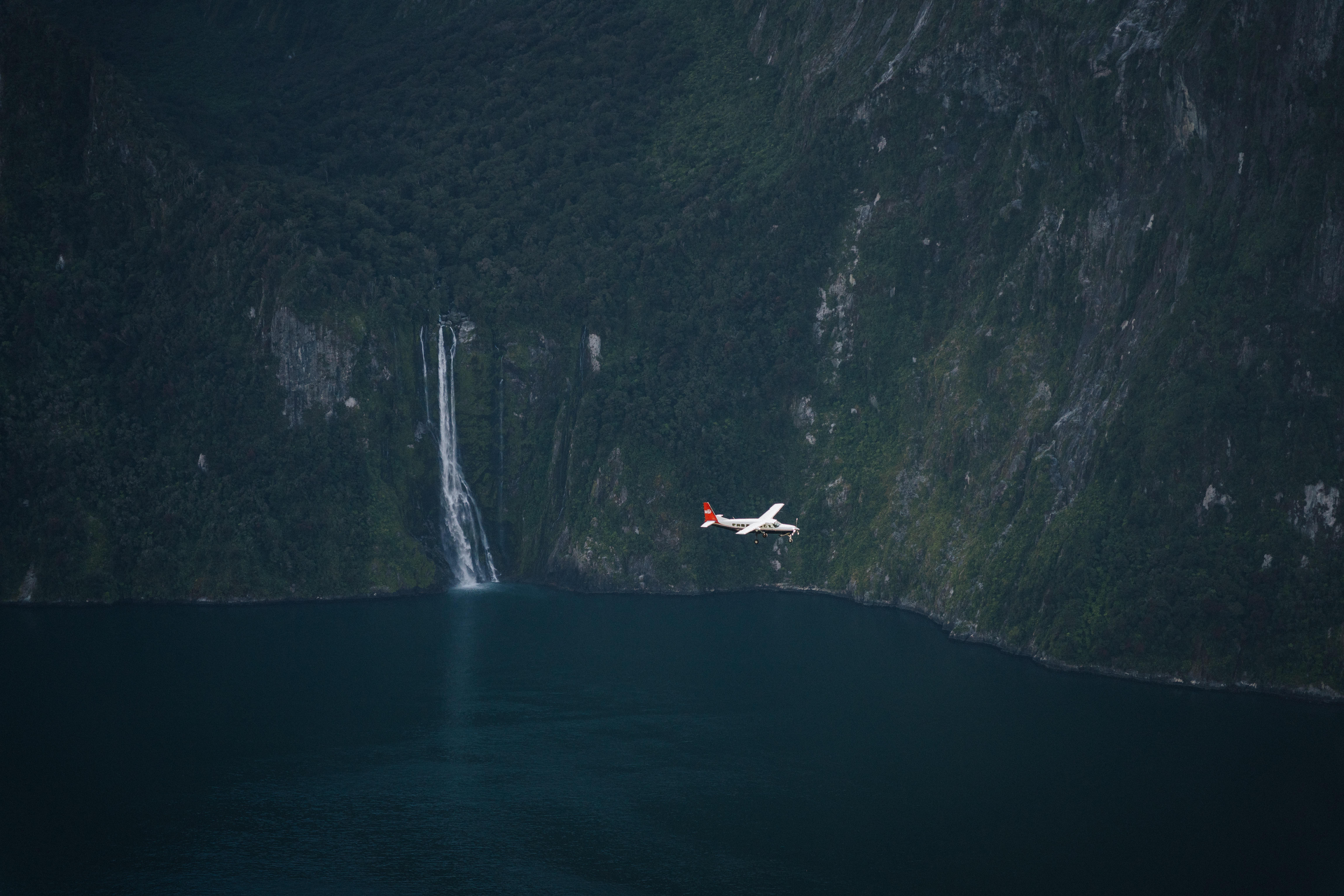 Milford Sound tour photo — image 17