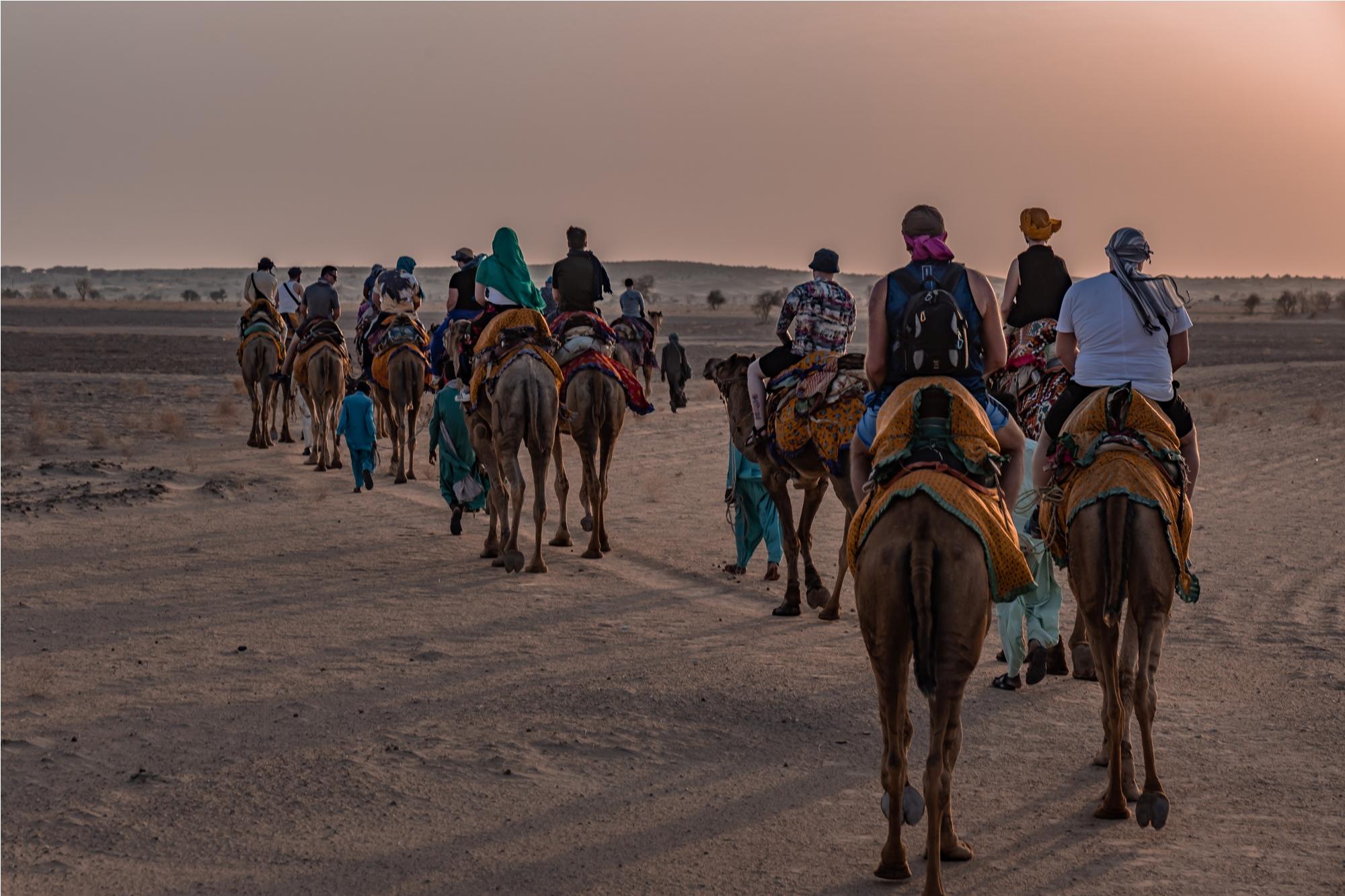 Two-Day Thar Desert Safari with Camel Trek & Starlit Camping