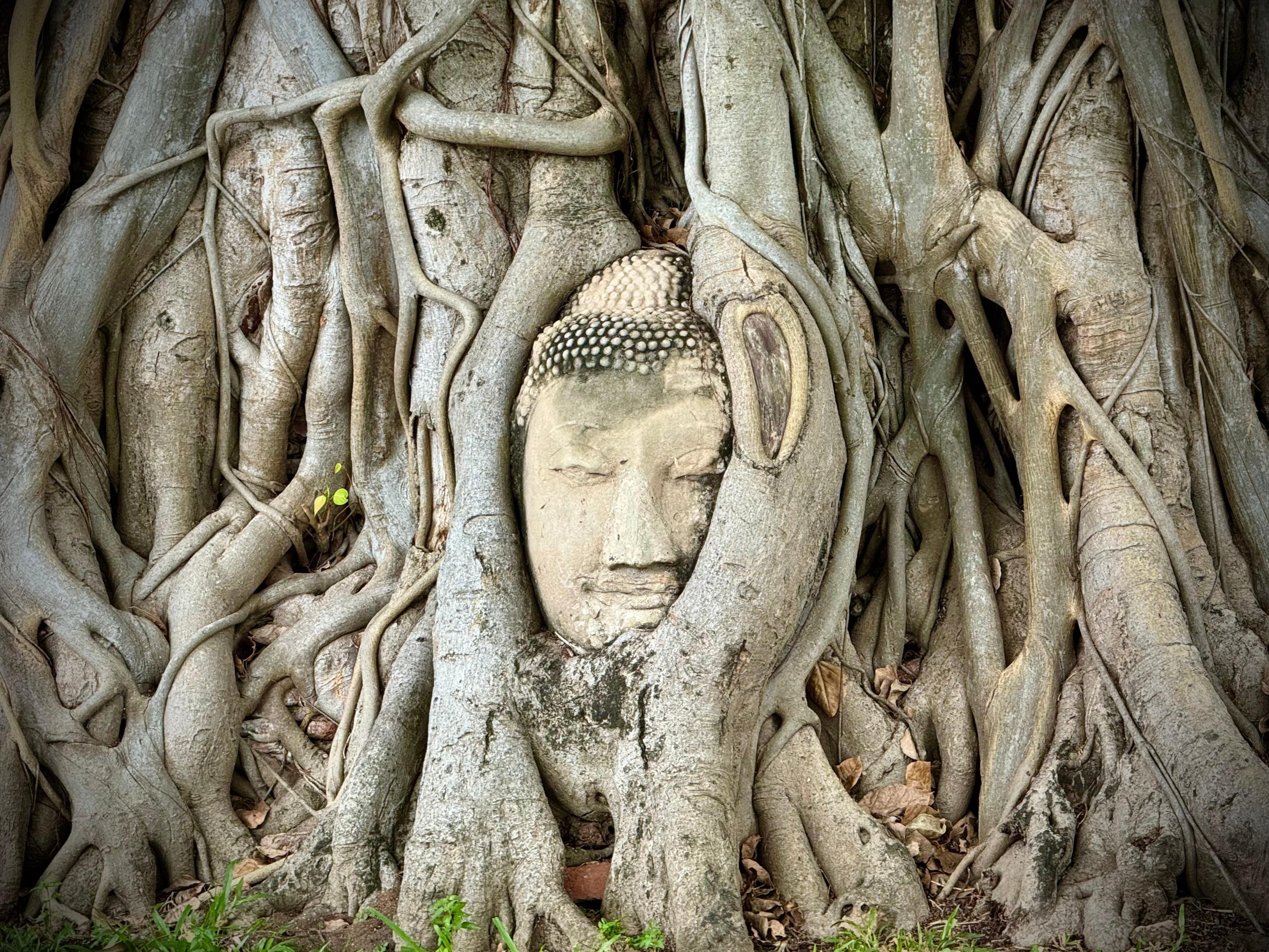 Bangkok to Ayutthaya Day Trip with Boat Ride & Temple Tickets