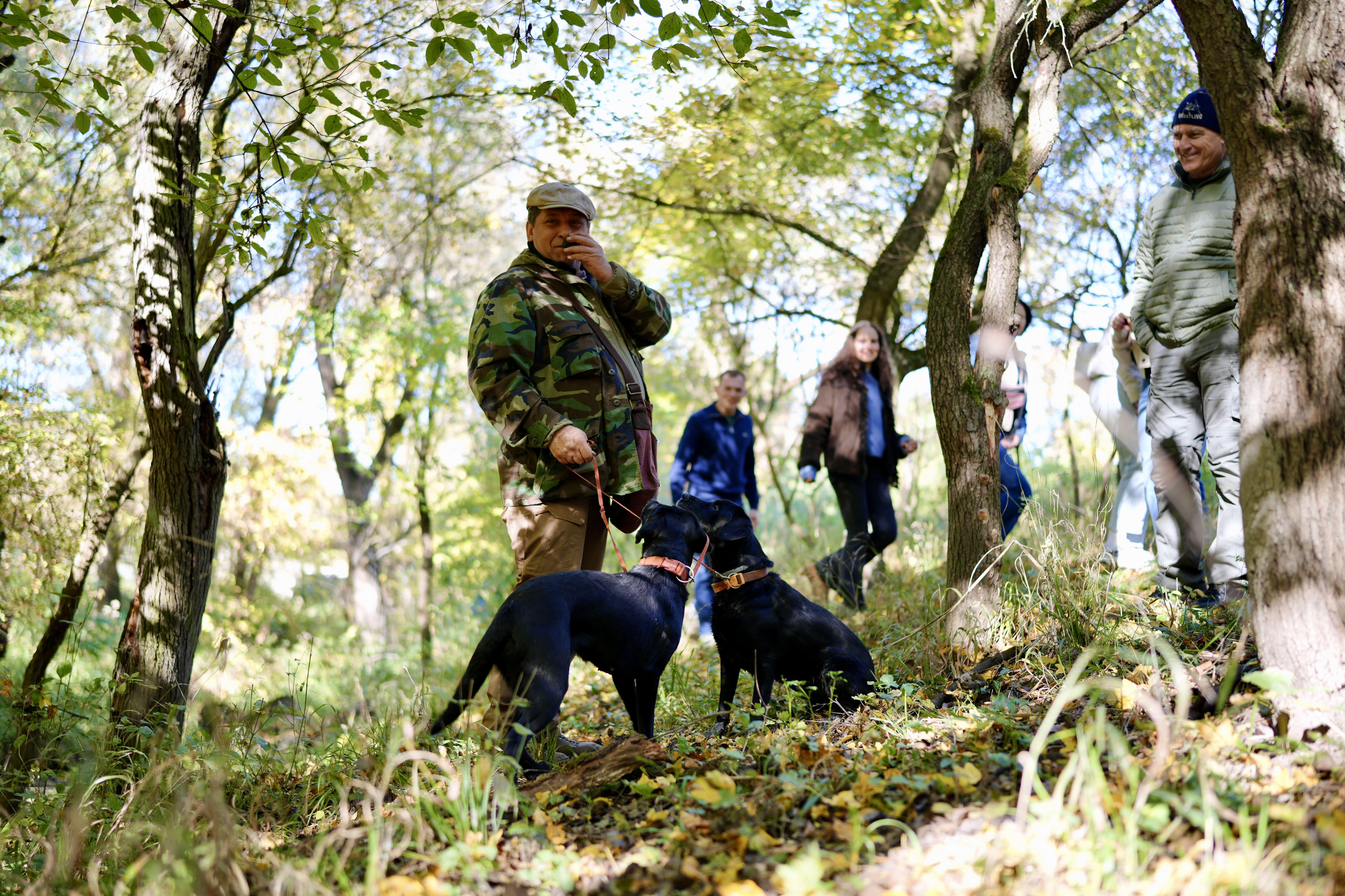 Truffle Hunting, Foie Gras & Wine Tour from Budapest