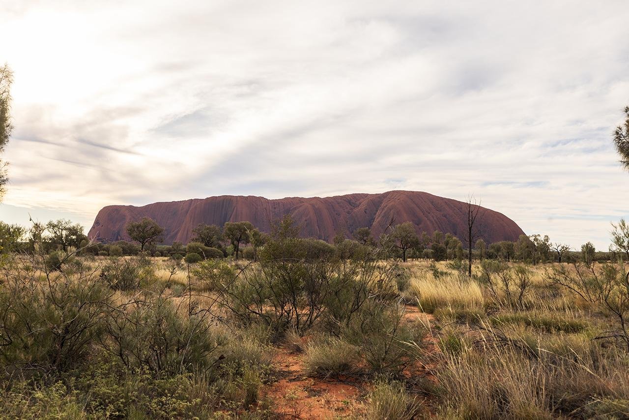 Uluru Sunset Experience with Sparkling Wine