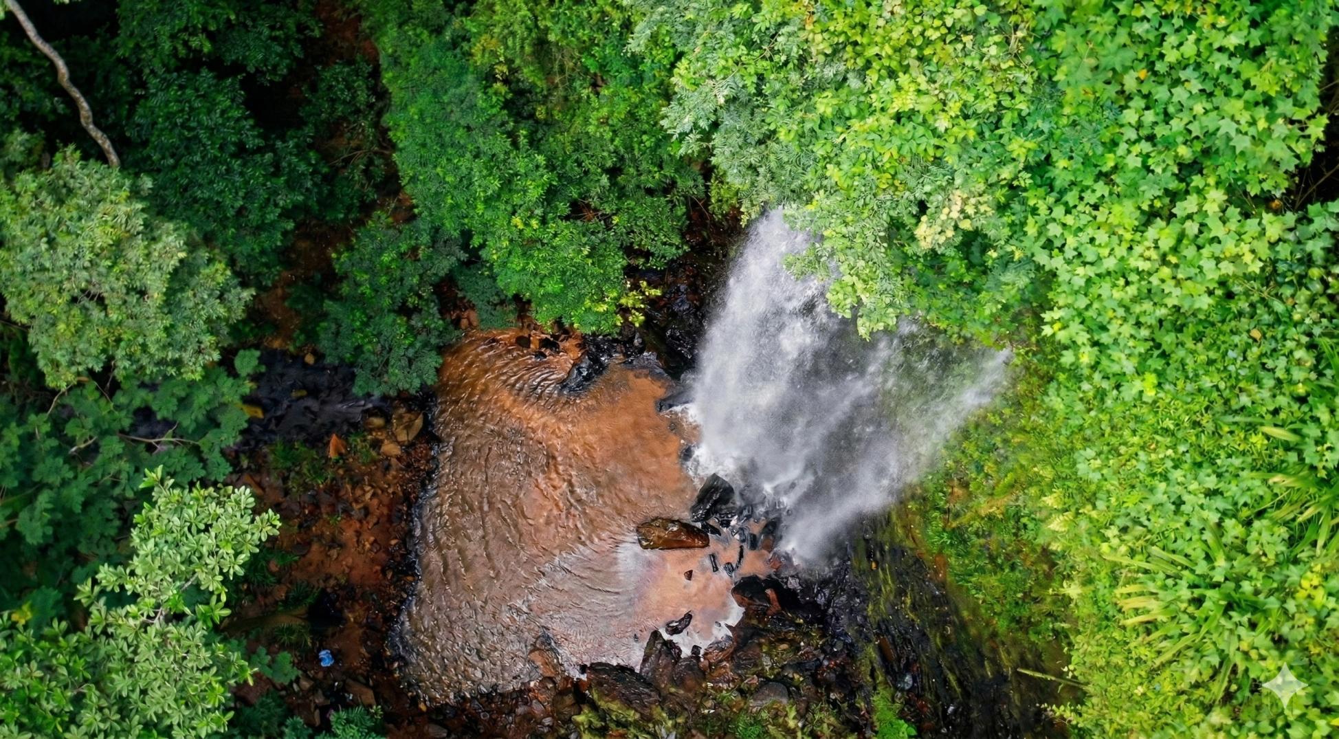 Eastern Region Adventure: Waterfalls, Botanical Gardens & Cocoa Farm