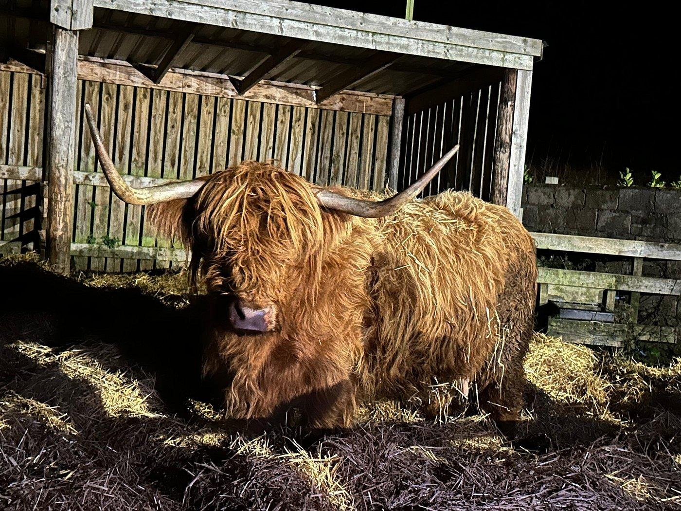 Private Highlands & Loch Ness Day Tour from Edinburgh