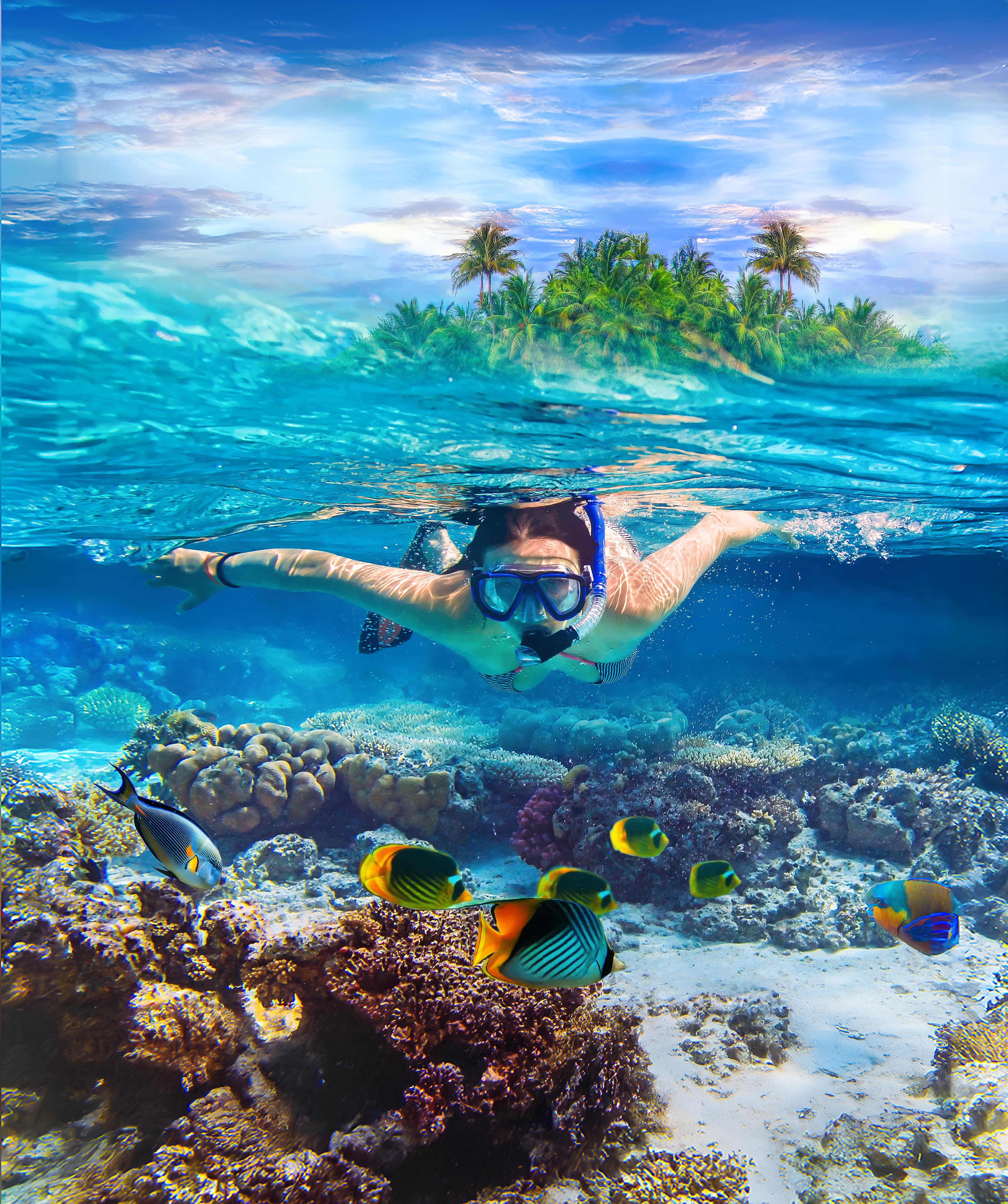 Pigeon Island Snorkeling Adventure from Uppuveli Beach
