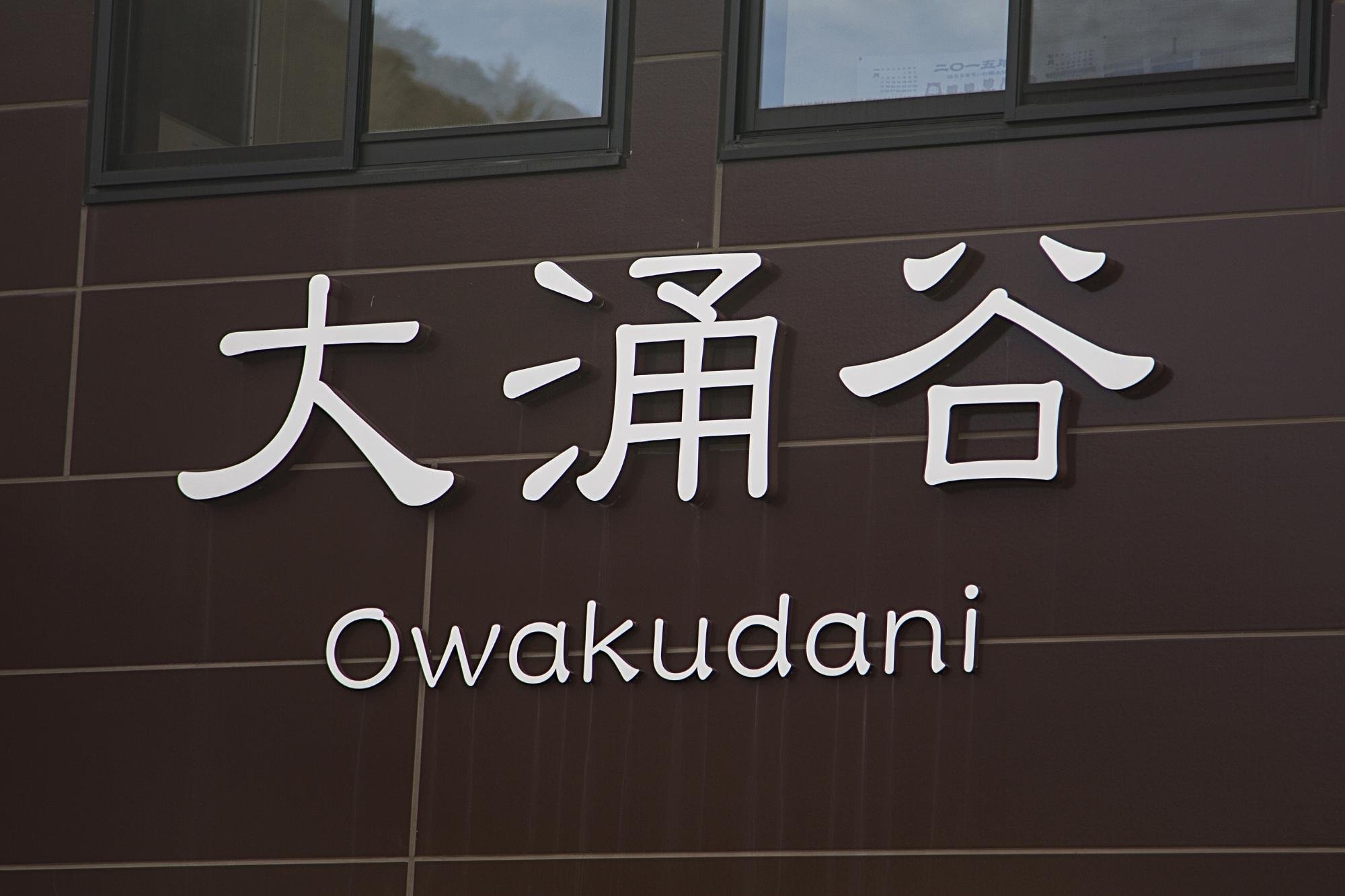 Mt. Fuji, Hakone & Arakura Pagoda Full-Day Tour from Tokyo