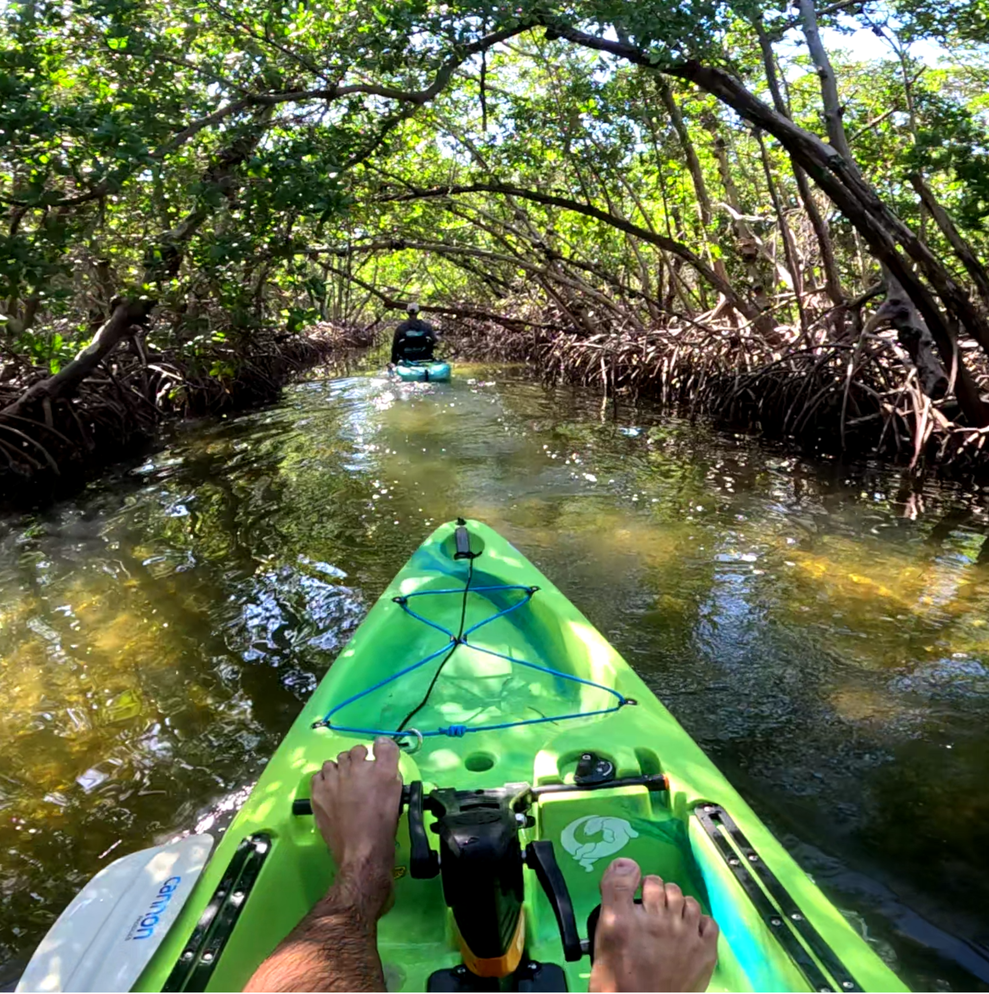 Pedal Kayak Adventure Through Mangrove Trails