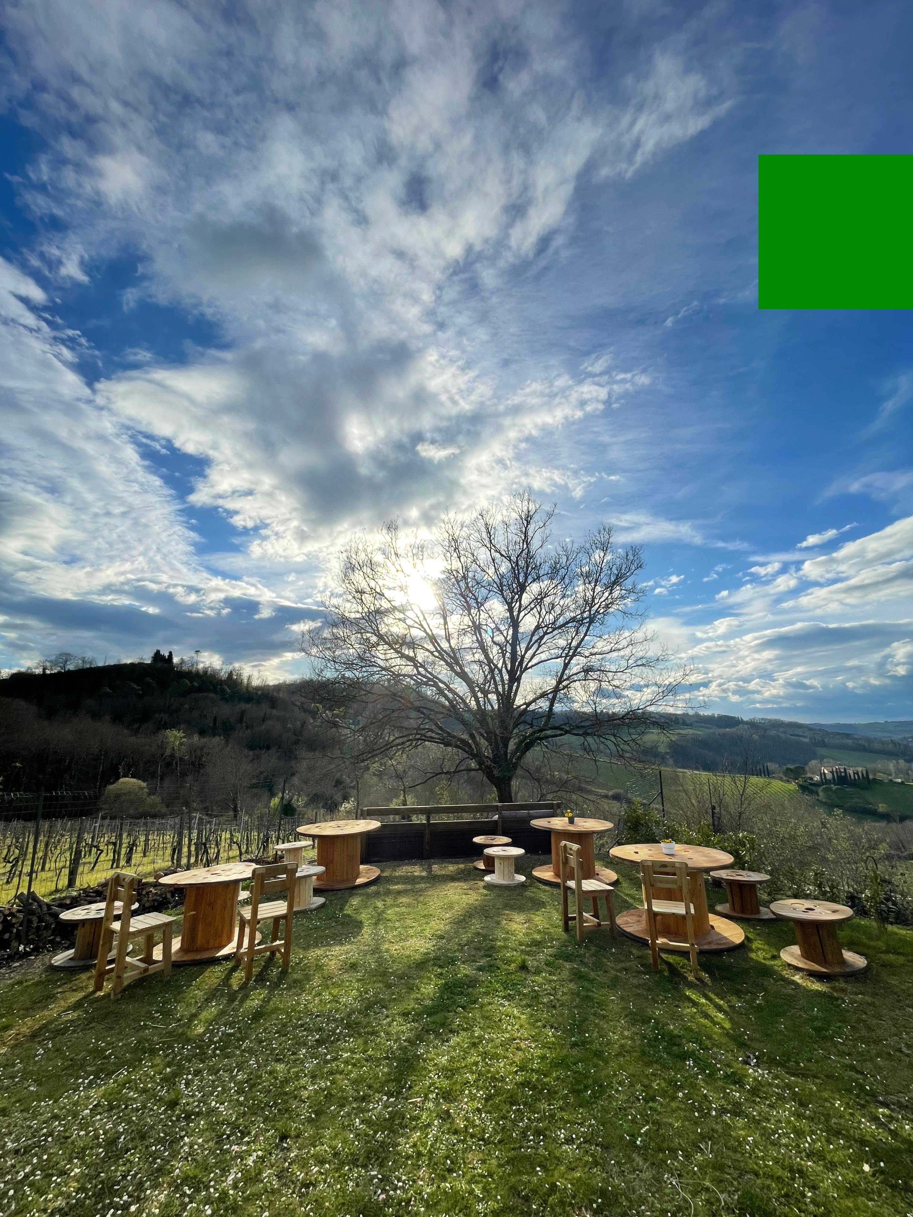truffle hunting in Umbria — photo 4