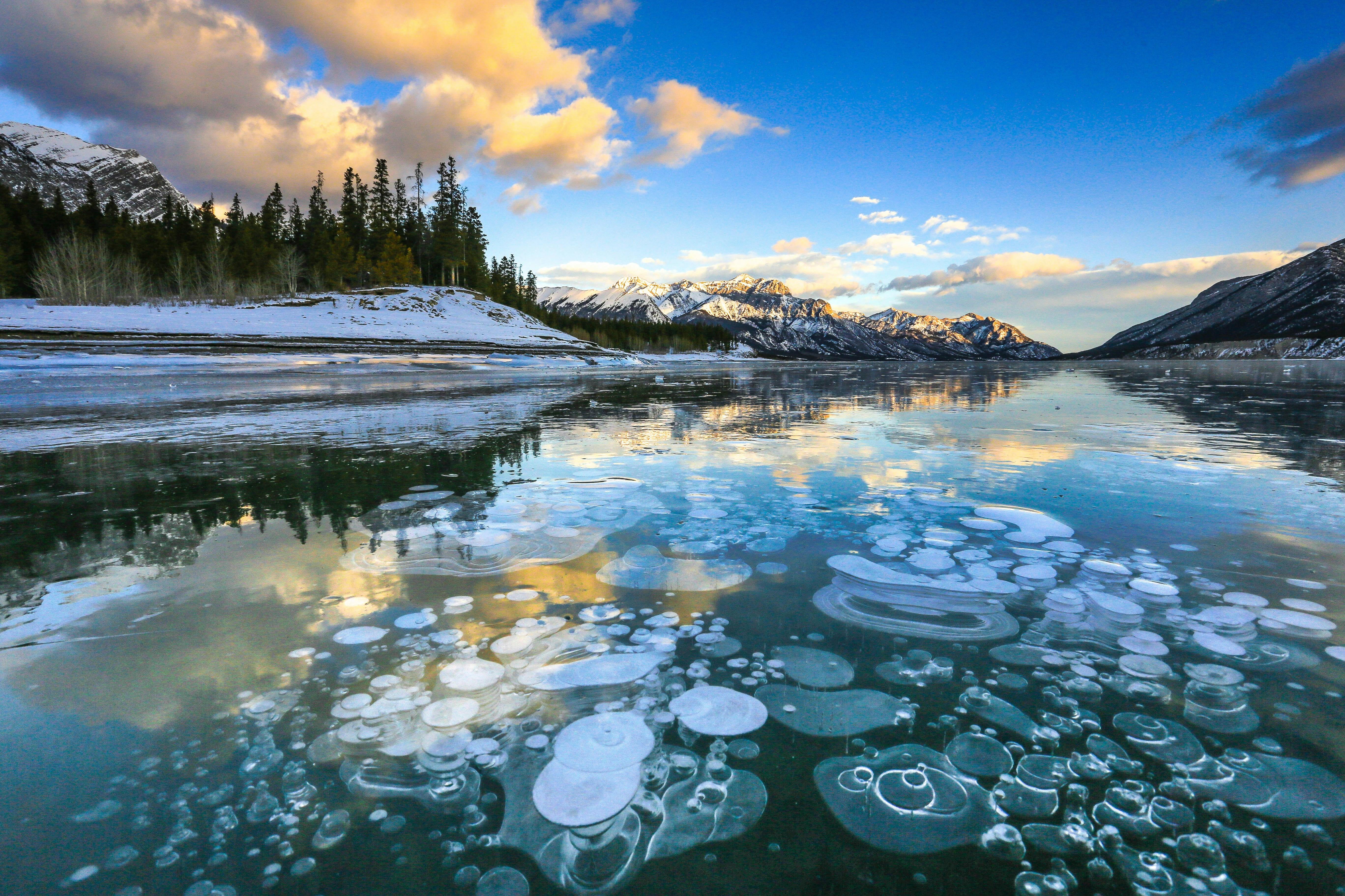 Private Abraham Lake Ice Bubbles & Icefields Parkway Winter Adventure