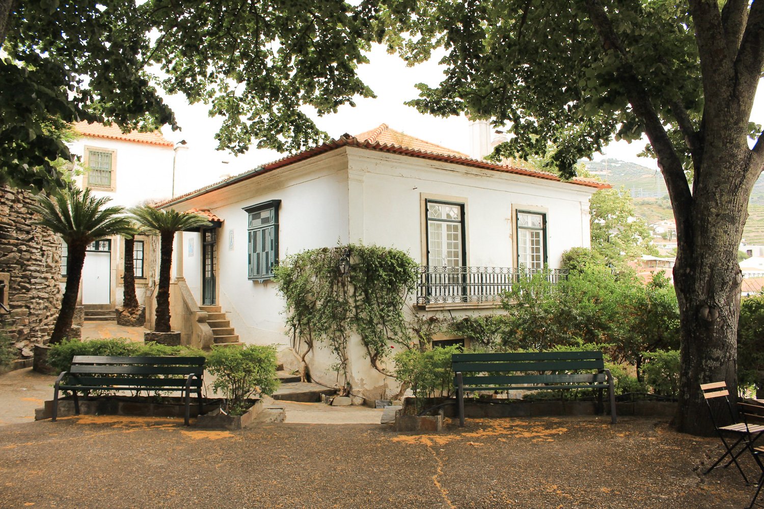 Douro Valley Premium Wine Tour with Cruise & Lunch from Porto
