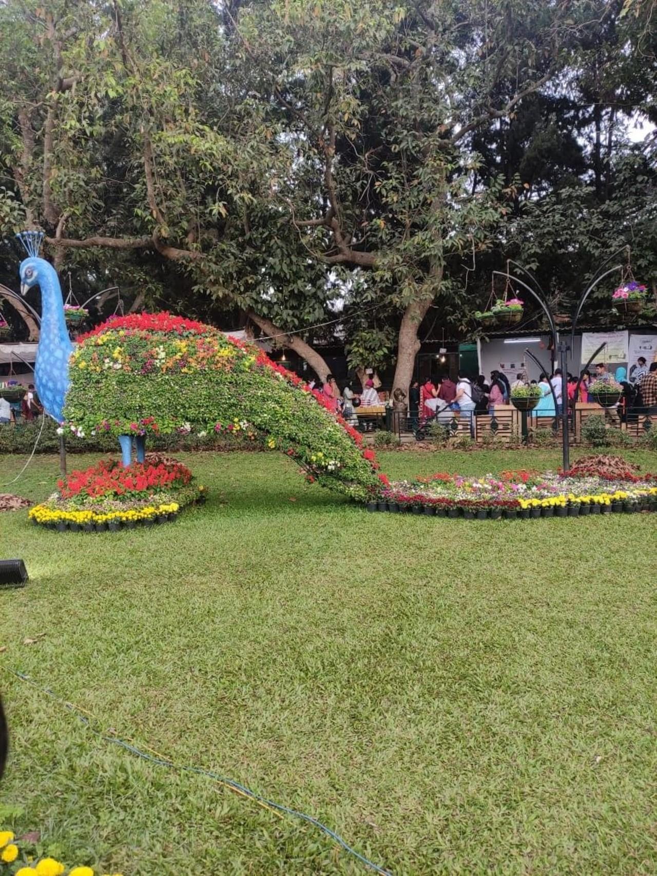 Lalbagh Botanical Garden Guided Discovery Tour