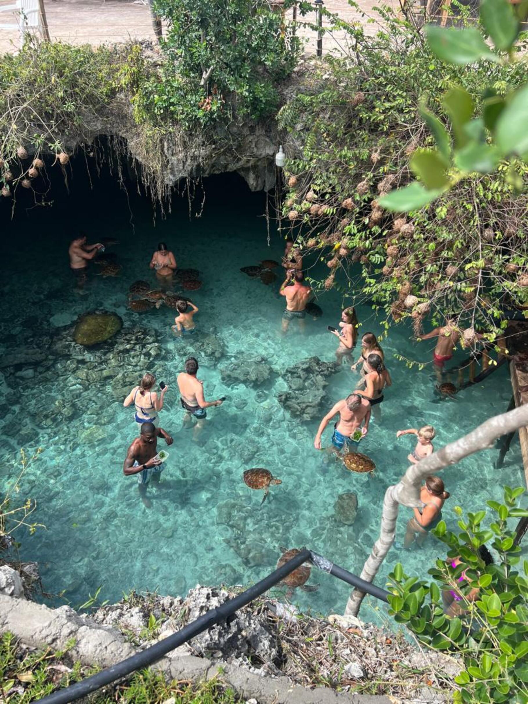 Zanzibar: Jozani Forest & Salaam Cave Sea Turtle Tour