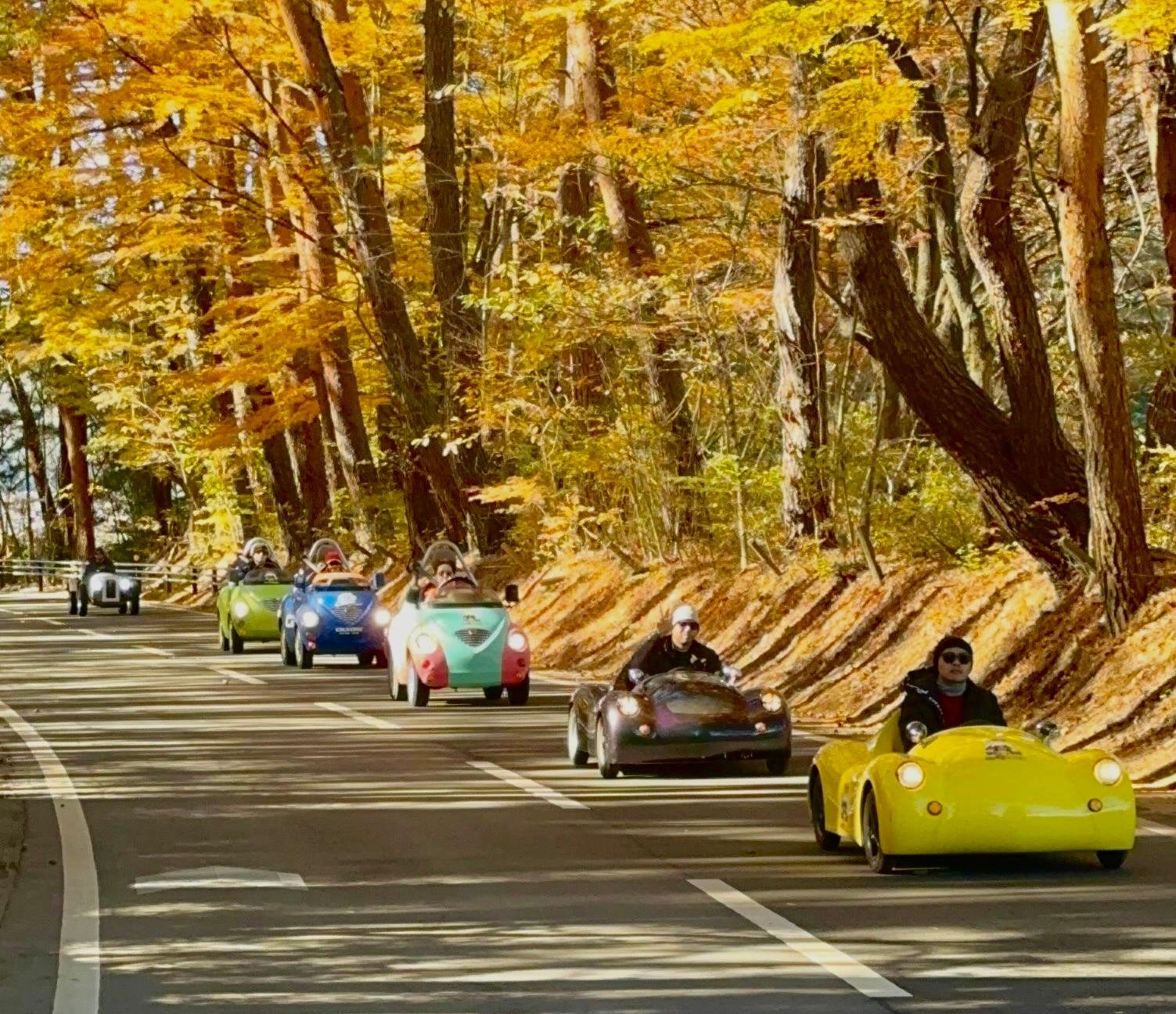 Lake Kawaguchiko Electric Mini Car Guided Tour
