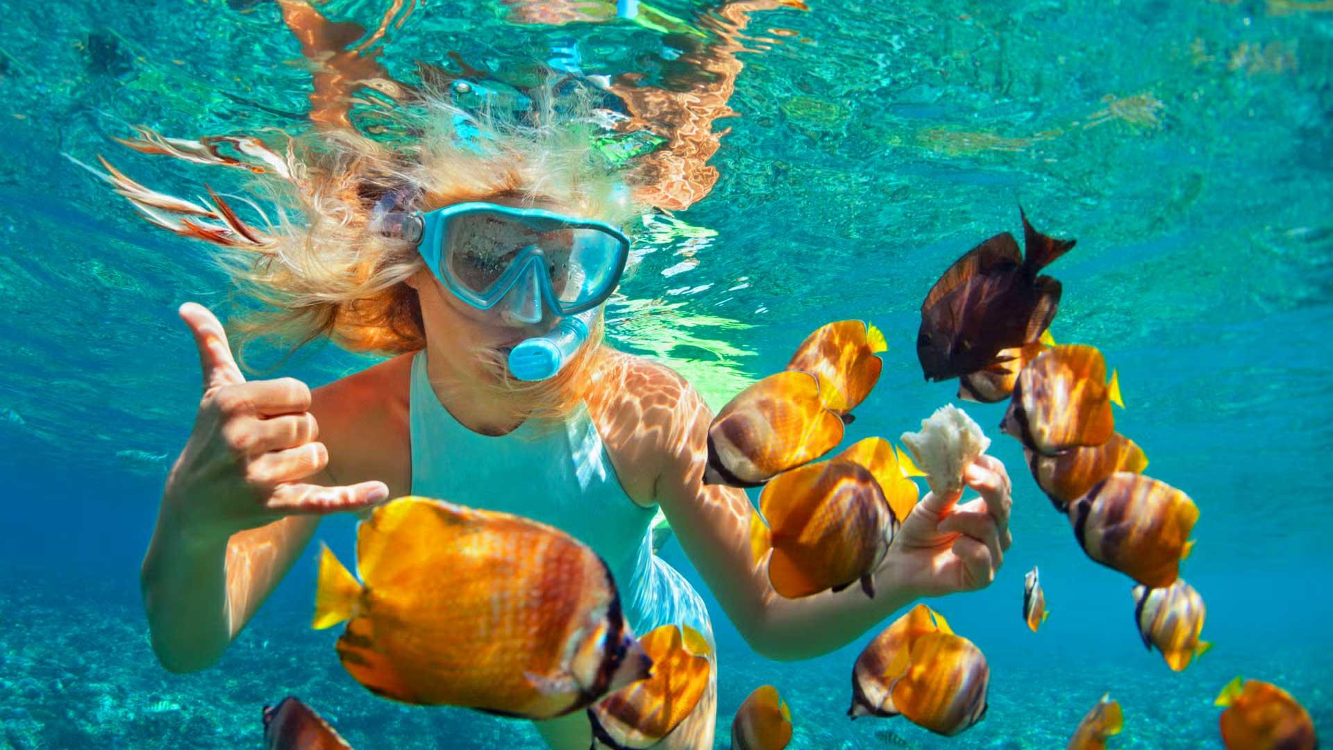 Kizimkazi Dolphin Encounter & Coral Reef Snorkel with Beach BBQ