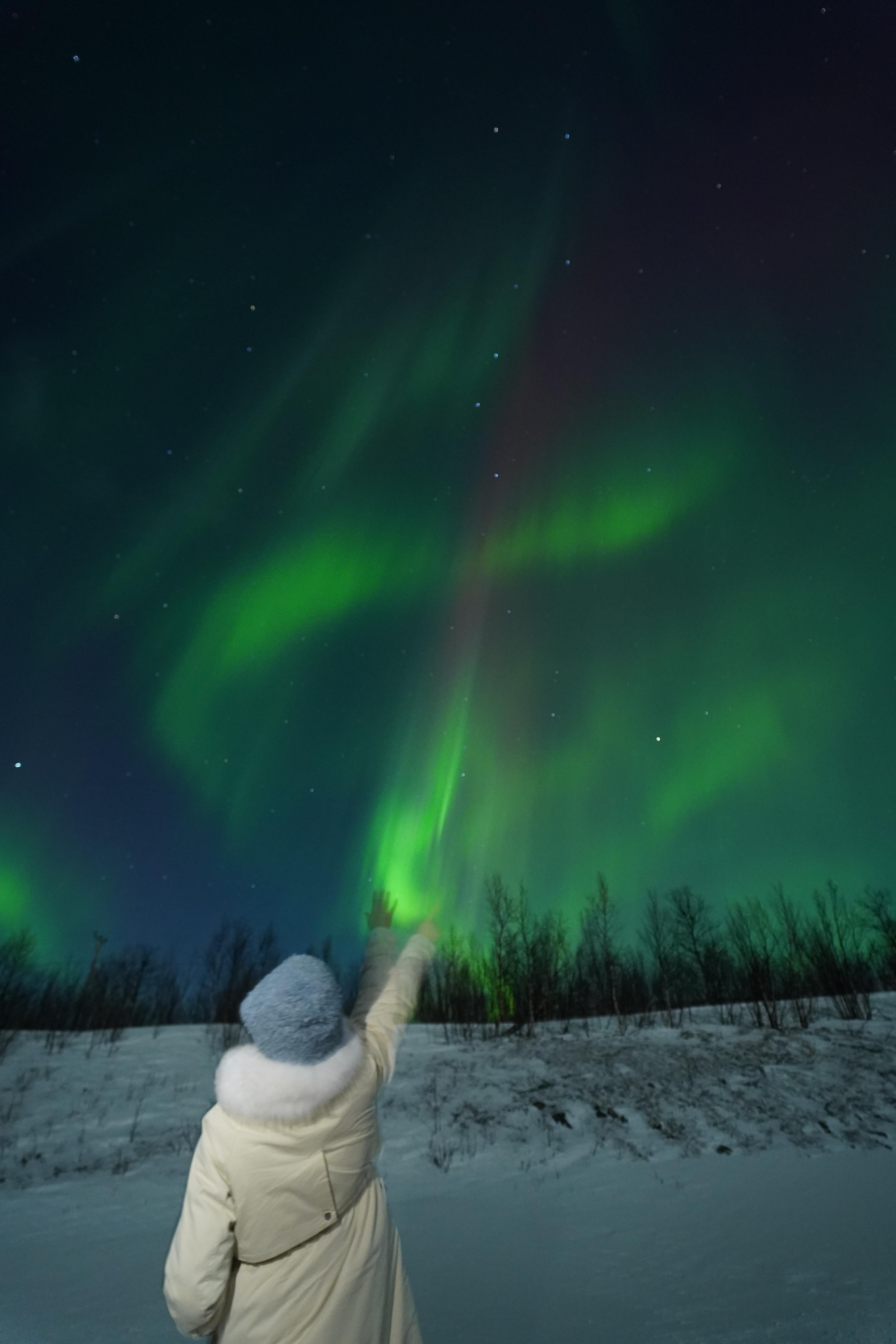 Northern lights tour, image 23