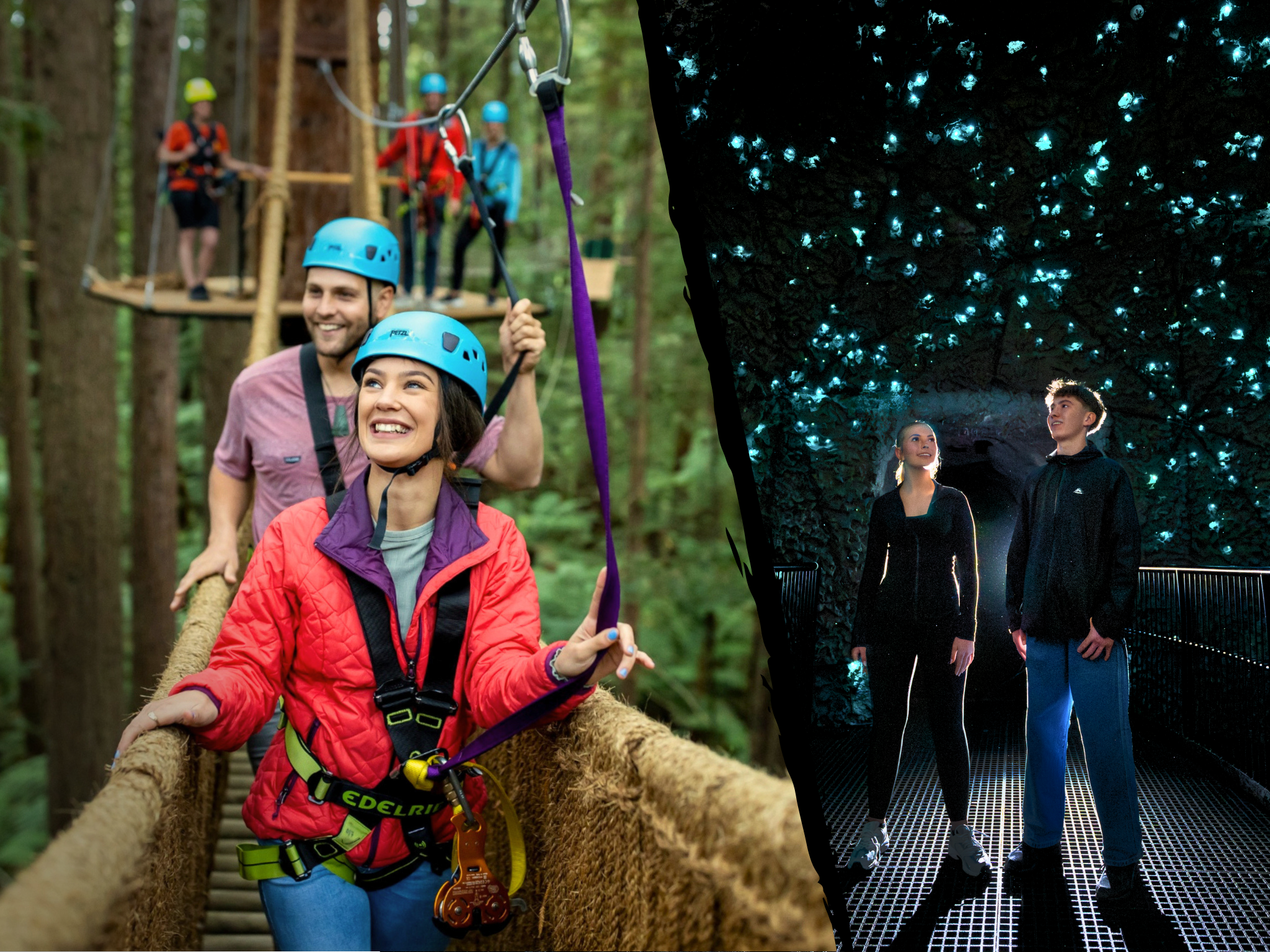 Redwoods Canopy Adventure & Glowworm Cave