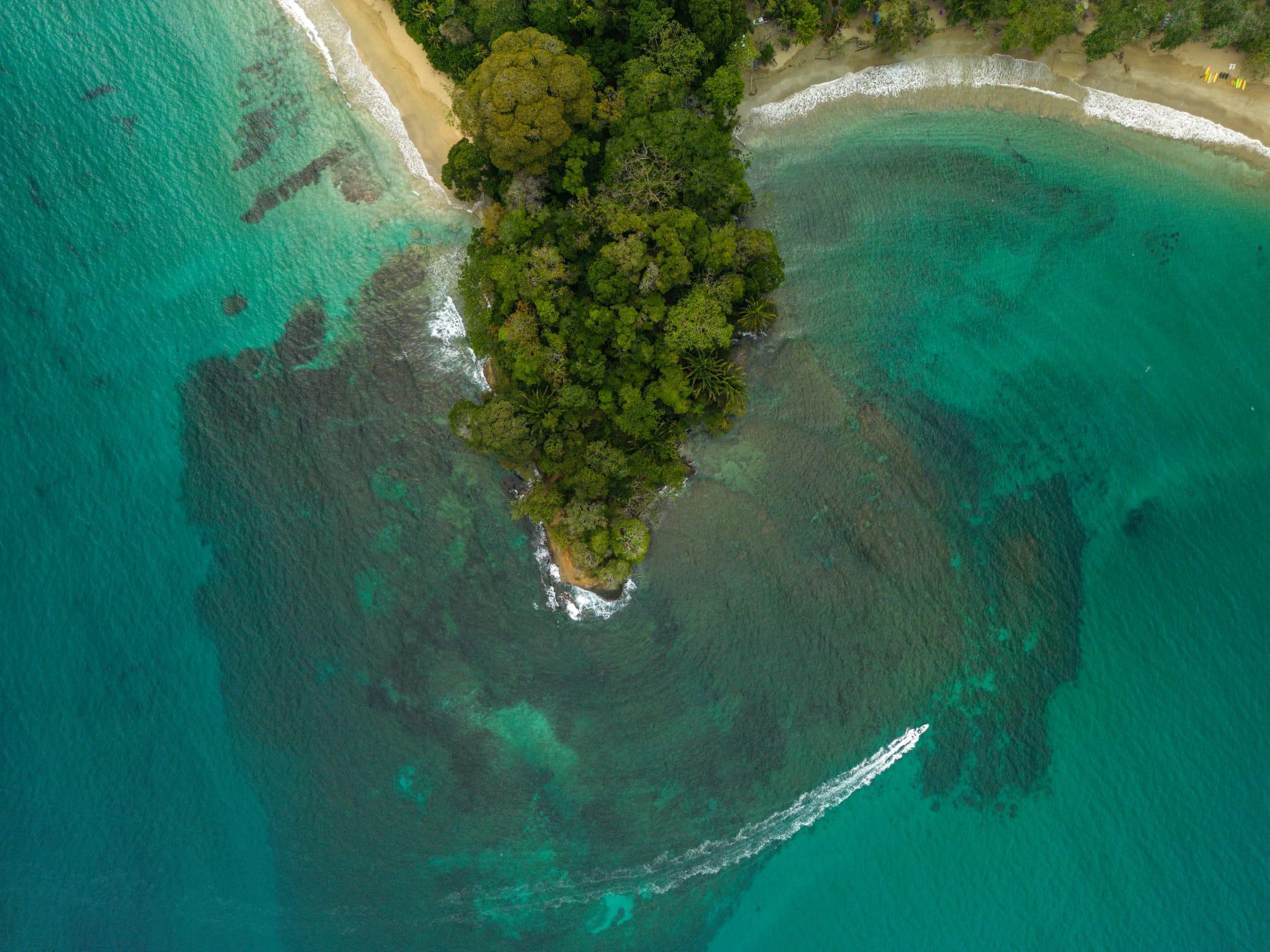 Cahuita Snorkeling & Wildlife Hike