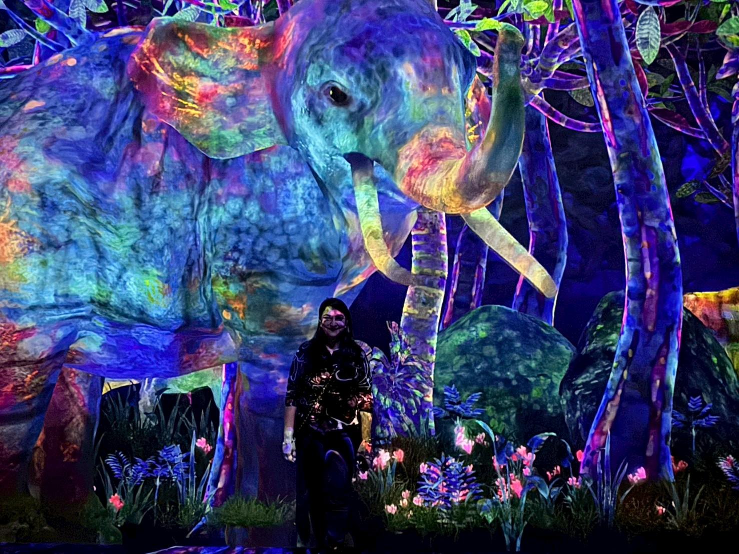 teamLab Planets and Odaiba Gundam Bay Tour