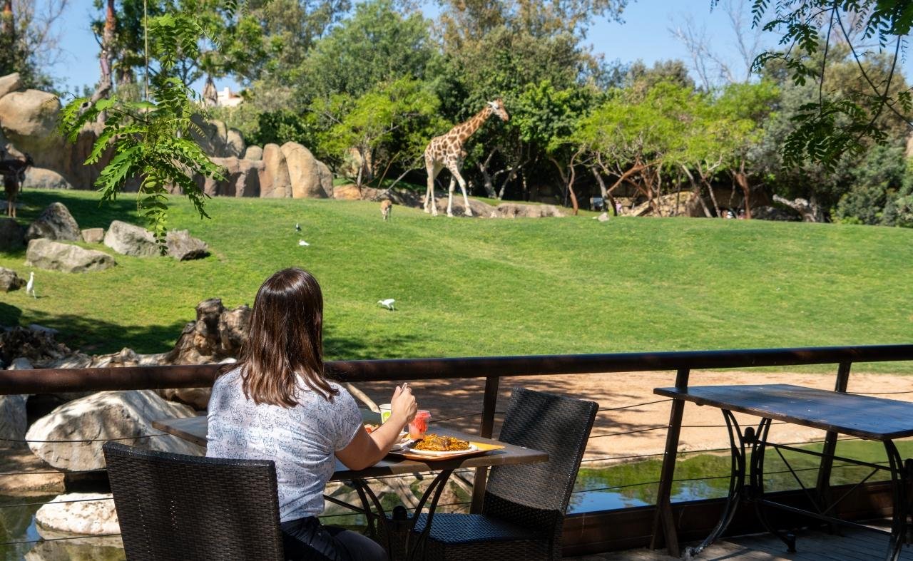 Bioparc Valencia Entry Ticket