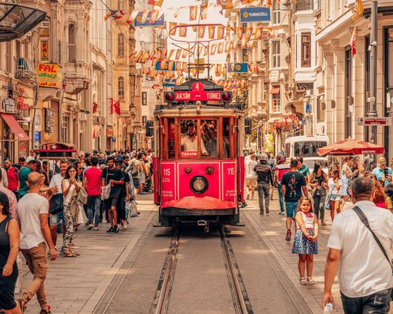VIP Istanbul Layover Express: Private Airport Transit Tour