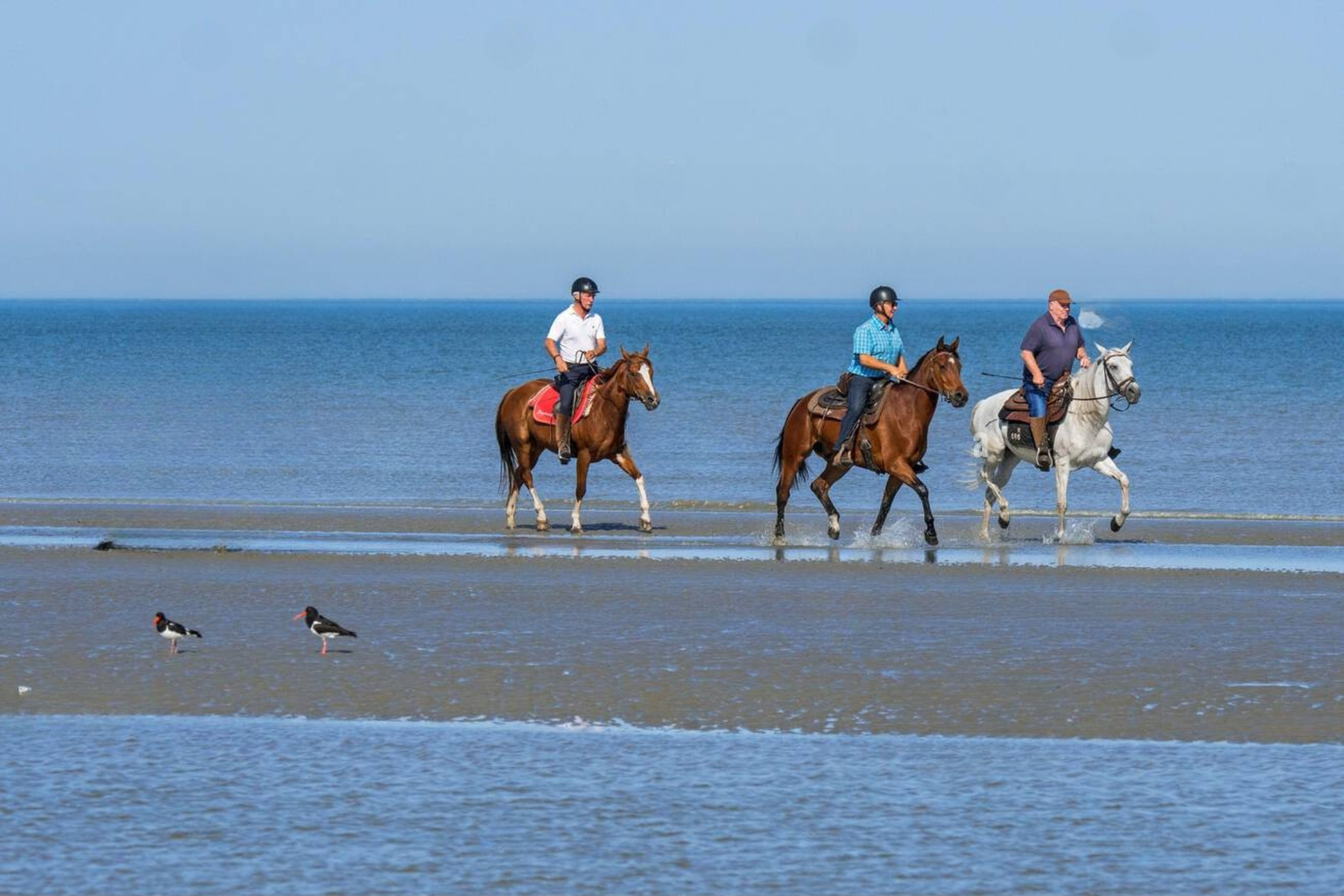 Casablanca Horseback Riding Adventure by the Sea
