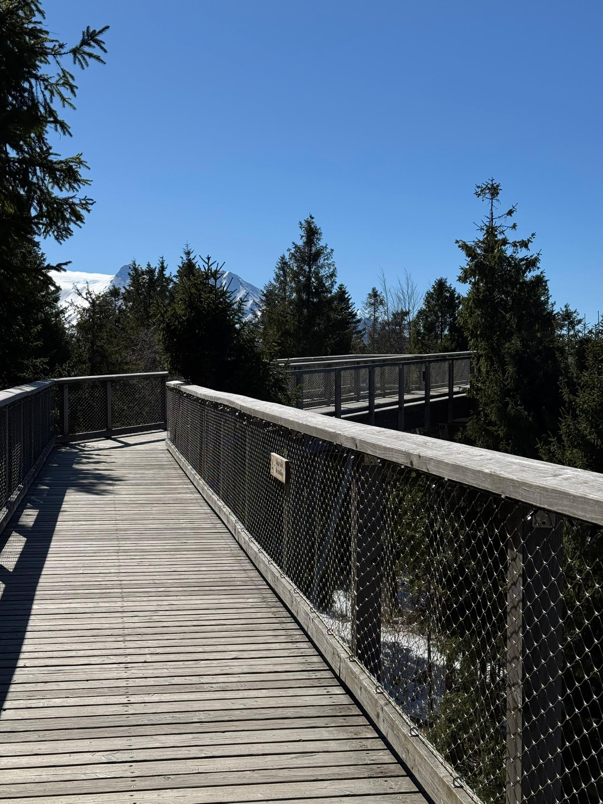 Presov, Spis Castle, Levoca & Bachledka Treetop Walk Day Trip