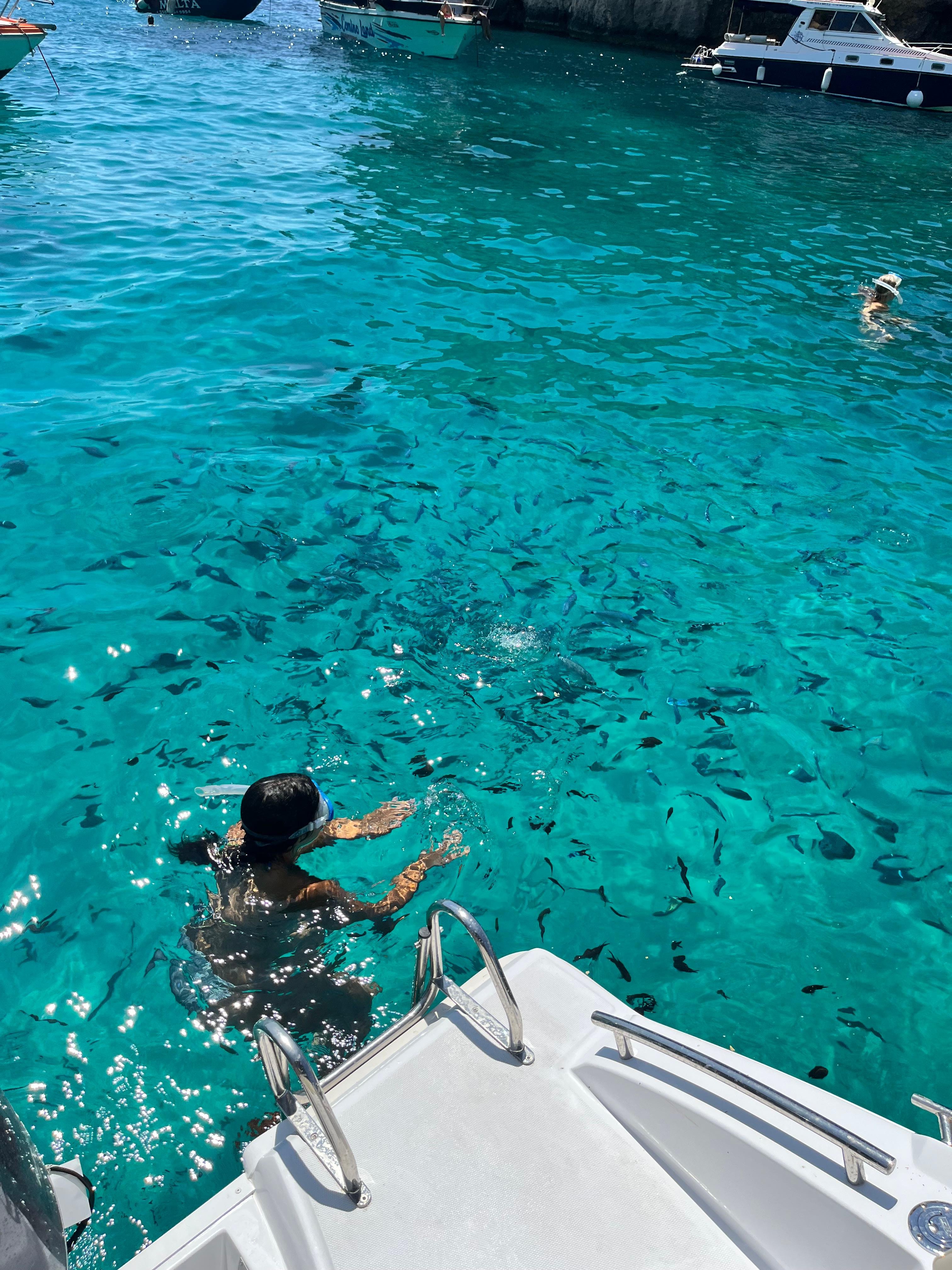 Private Comino & Blue Lagoon Speedboat Adventure
