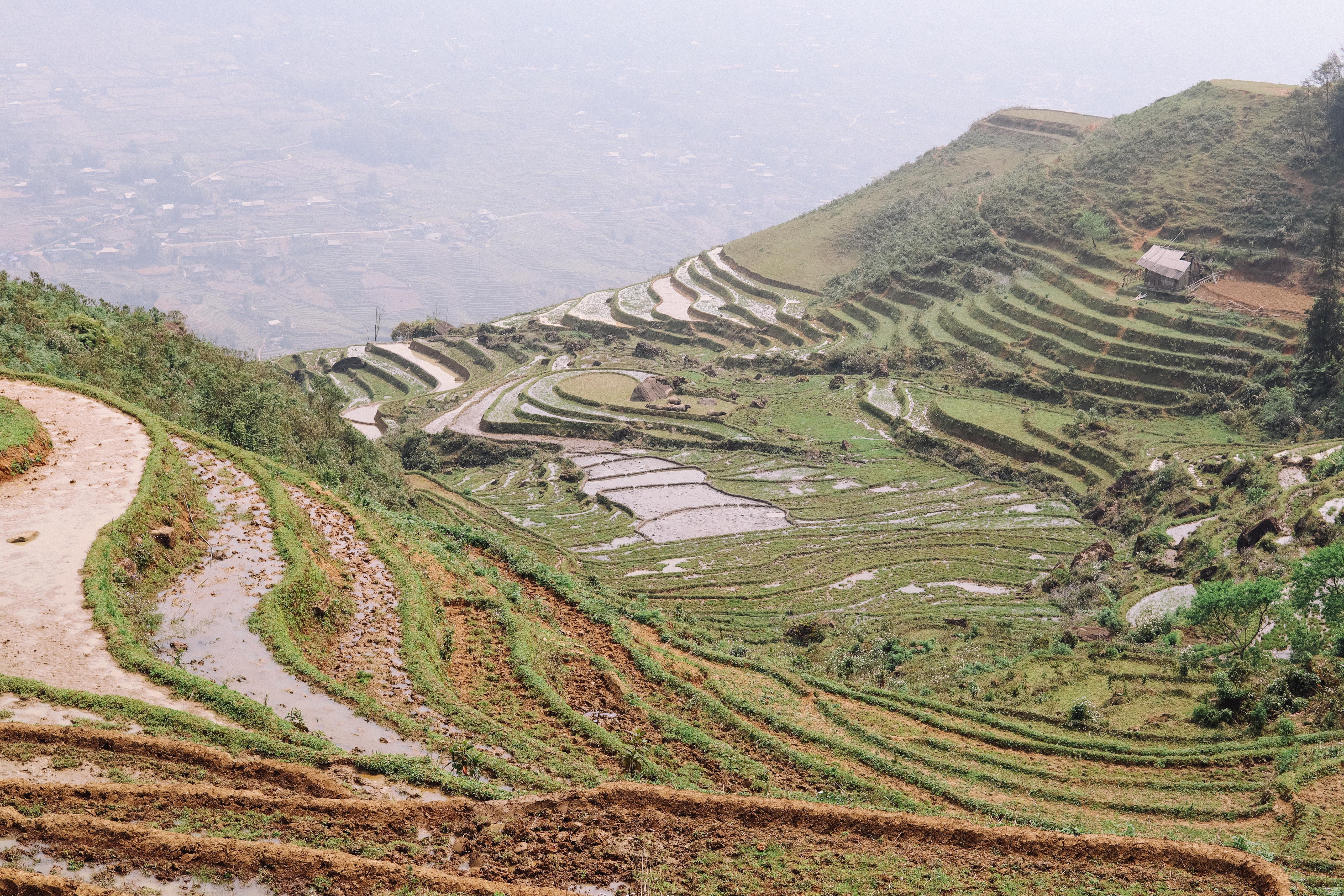 Sapa 2-day trek — Muong Hoa Valley rice terraces and ethnic-minority villages — image 77