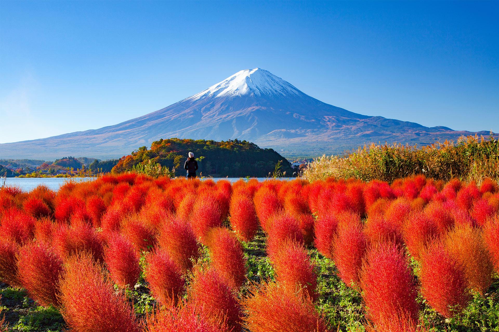 Mt Fuji day trip from Tokyo — image 1