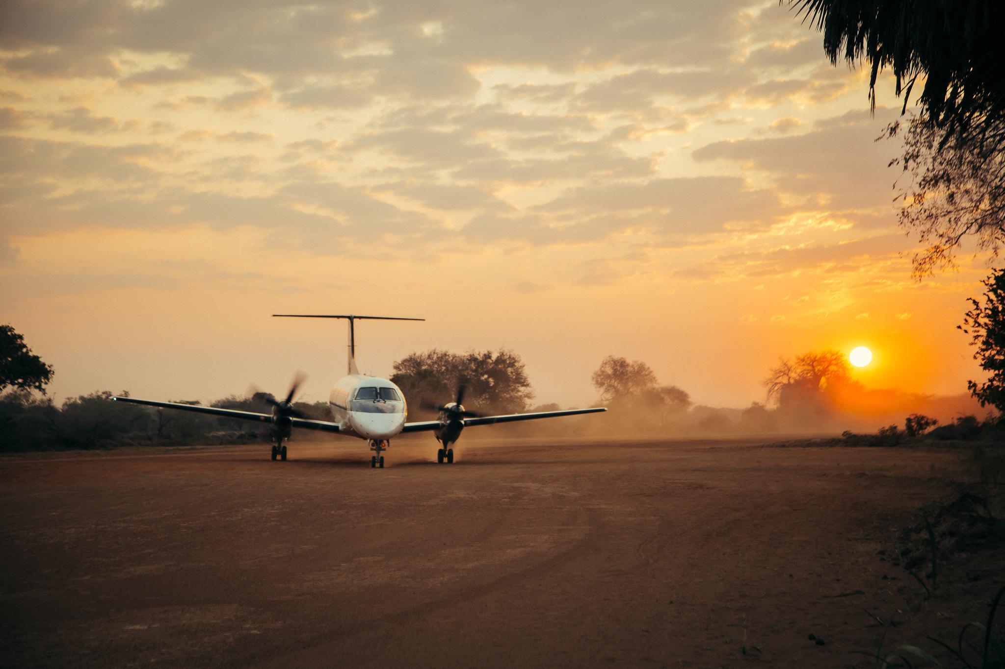 Zanzibar to Selous: Full-Day Safari with Bush Lunch (+ 2-Day Option)