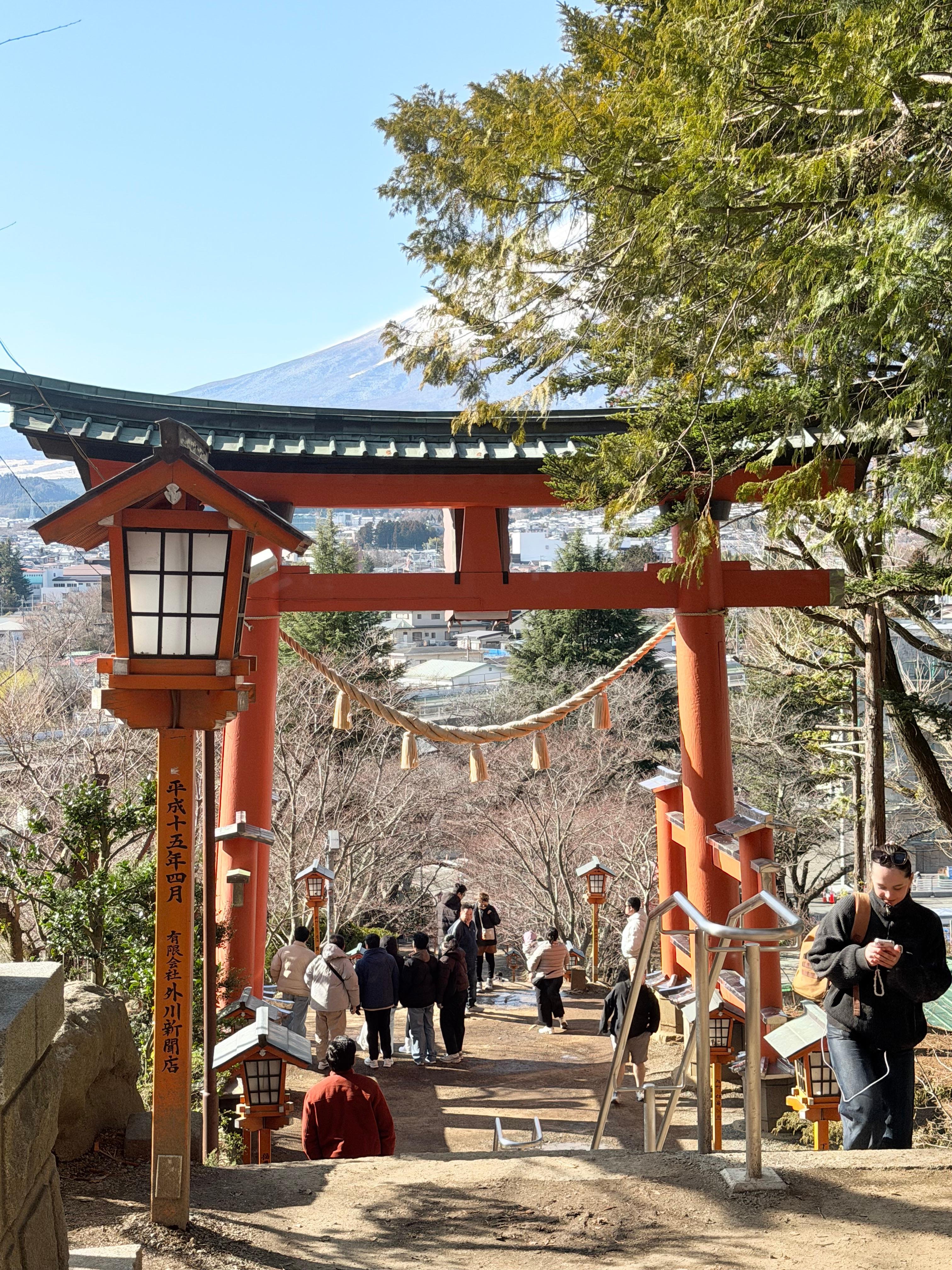 Tokyo to Mt. Fuji & Hakone: Private Full-Day Tour with English Driver