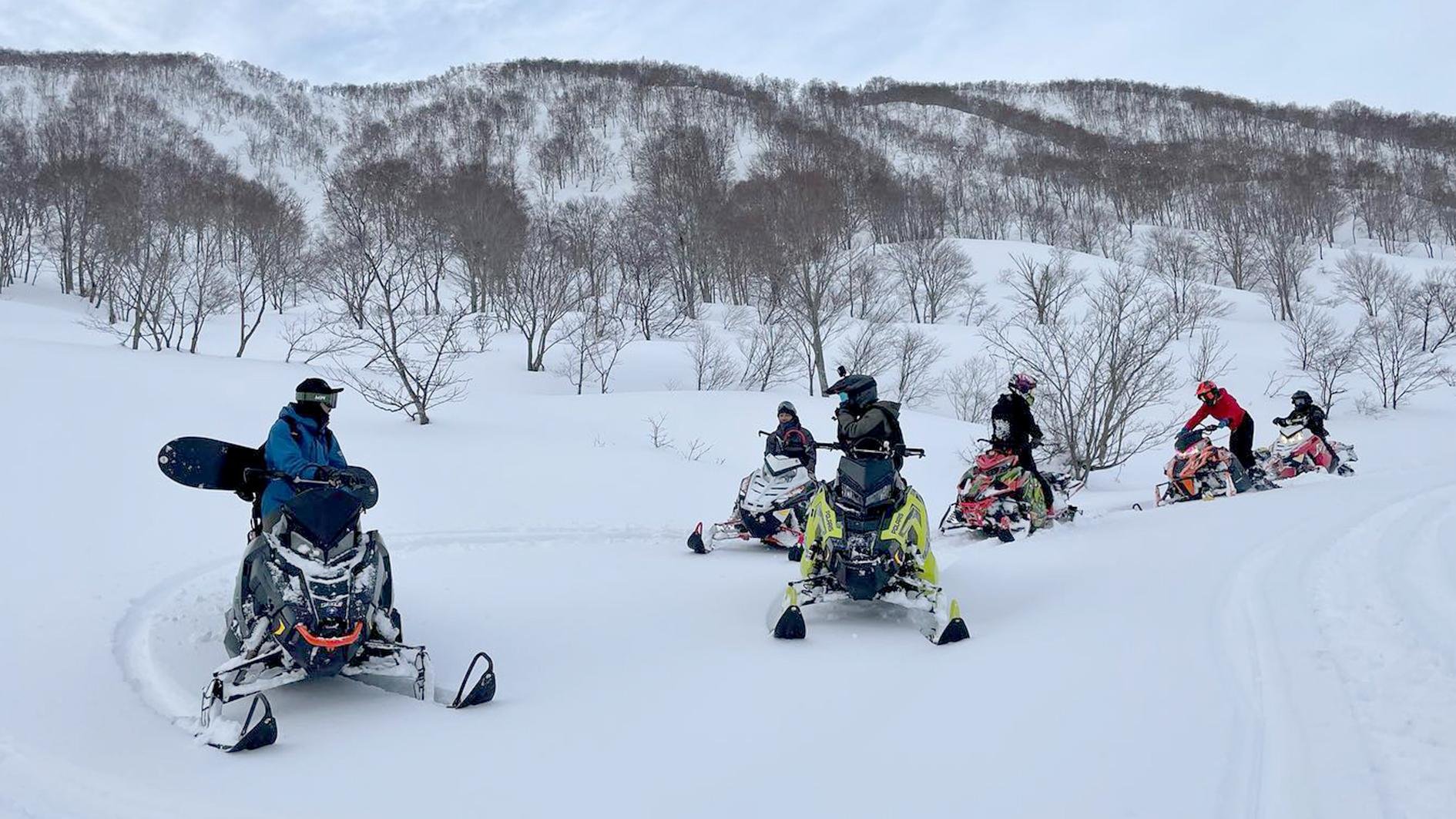 Hokkaido Winter Day Tour: Asahiyama Zoo & Snowfields from Sapporo