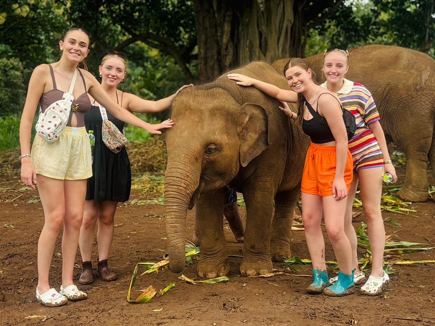 Elephant Sanctuary and Cooking Class — image 14