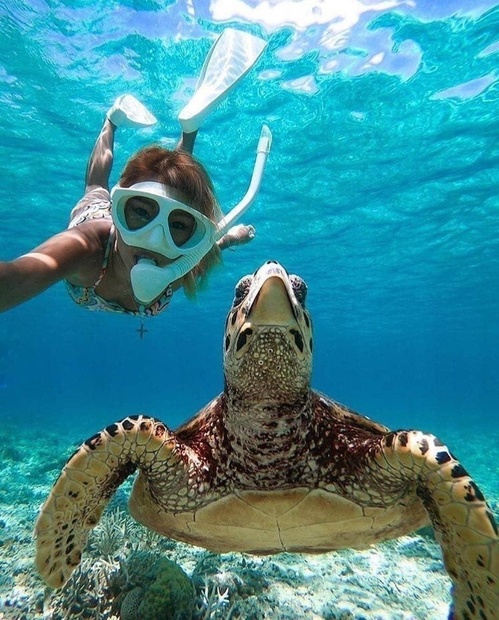 Bali Blue Lagoon Snorkel and Waterfall Adventure