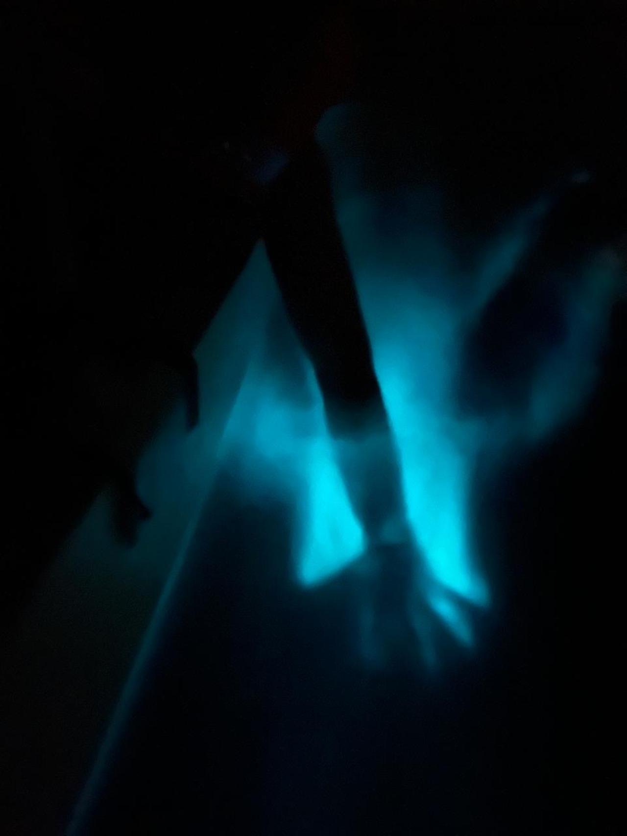 Manialtepec Lagoon Bioluminescence Night Tour