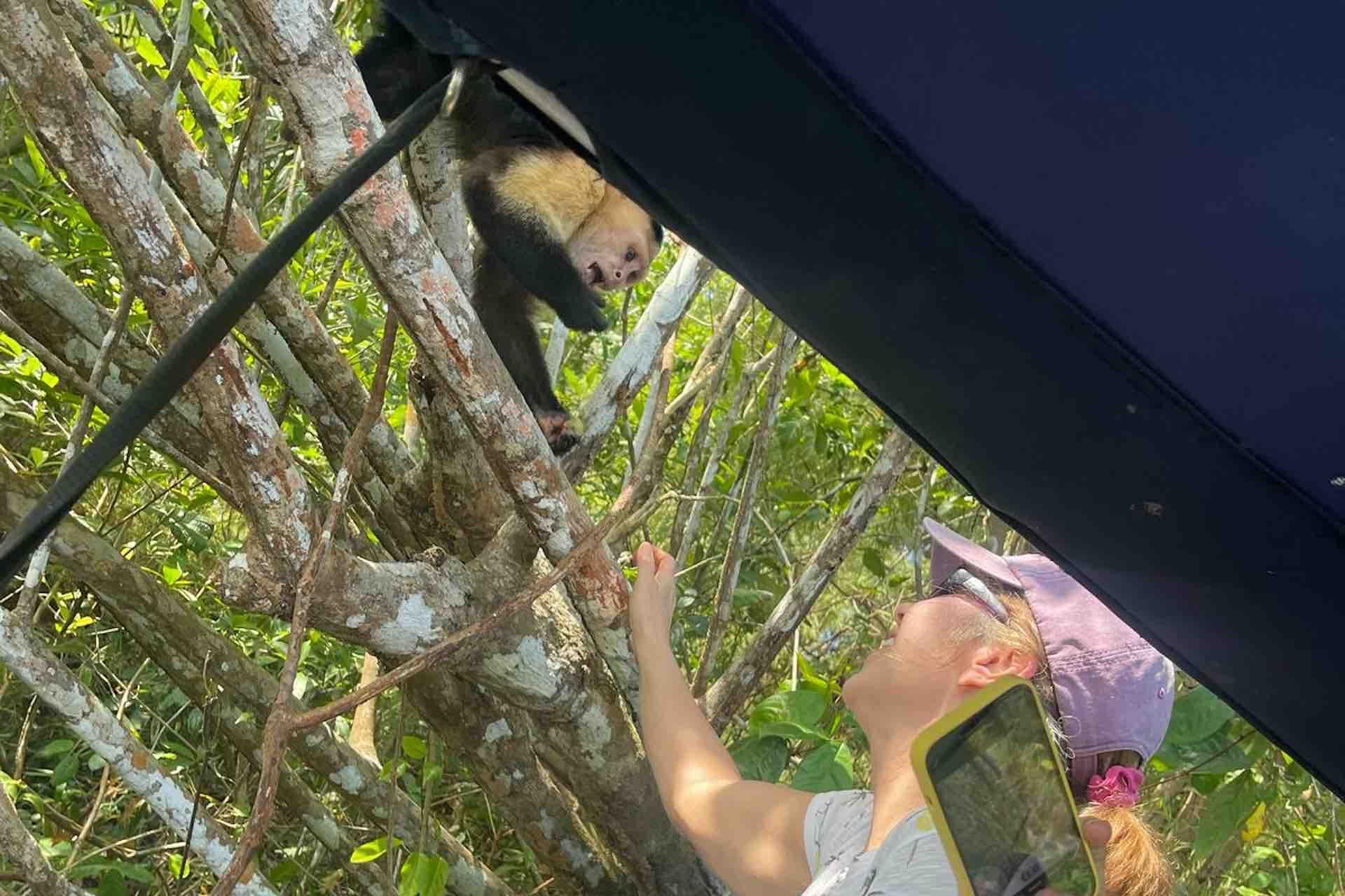 Panama Canal, Monkey Island & Sloth Sanctuary Expedition
