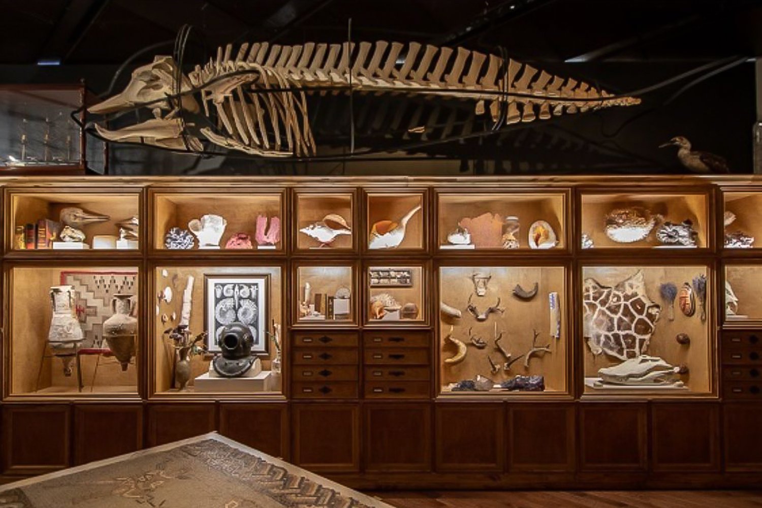 Houston: Museum of Natural Science General Admission Ticket - 2026 (Verified Reviews)