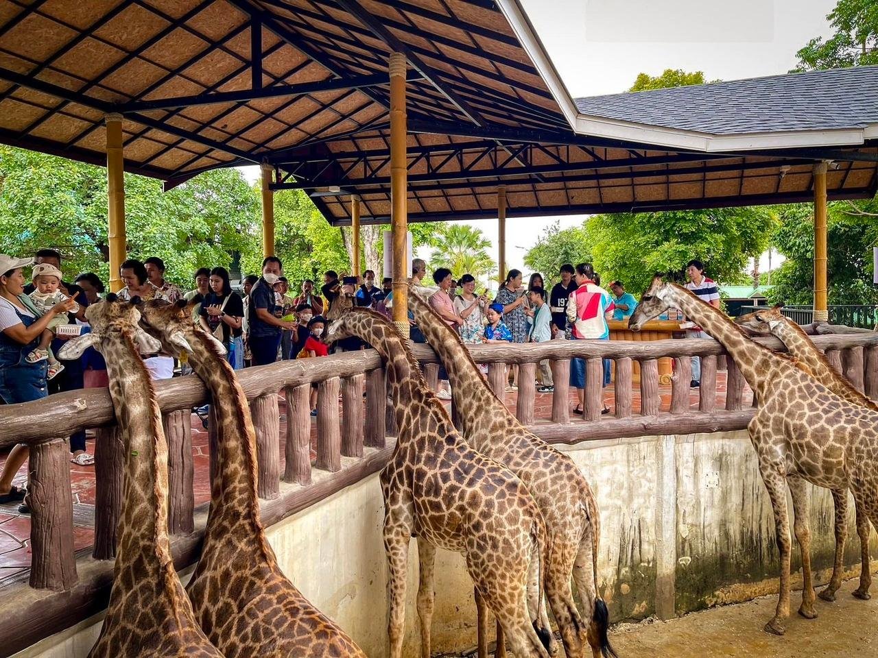 Bangkok to Ayutthaya Private Day Charter