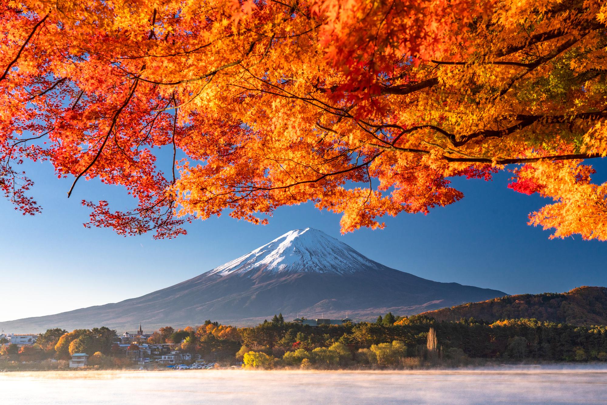 Mt. Fuji and Lake Kawaguchiko Day Tour from Tokyo
